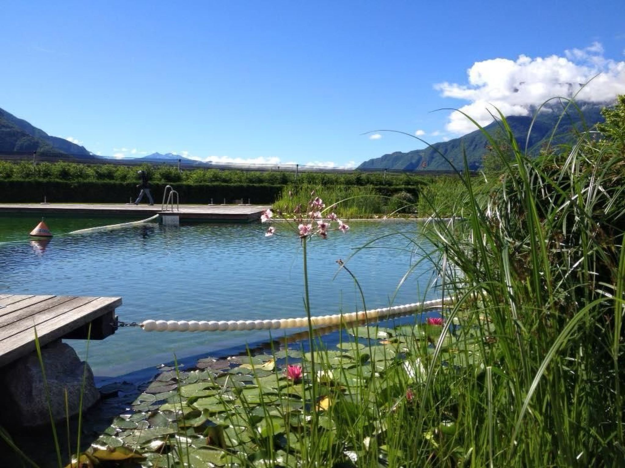 Fewo mit Pool, Sauna und Whirlpool-Binnen