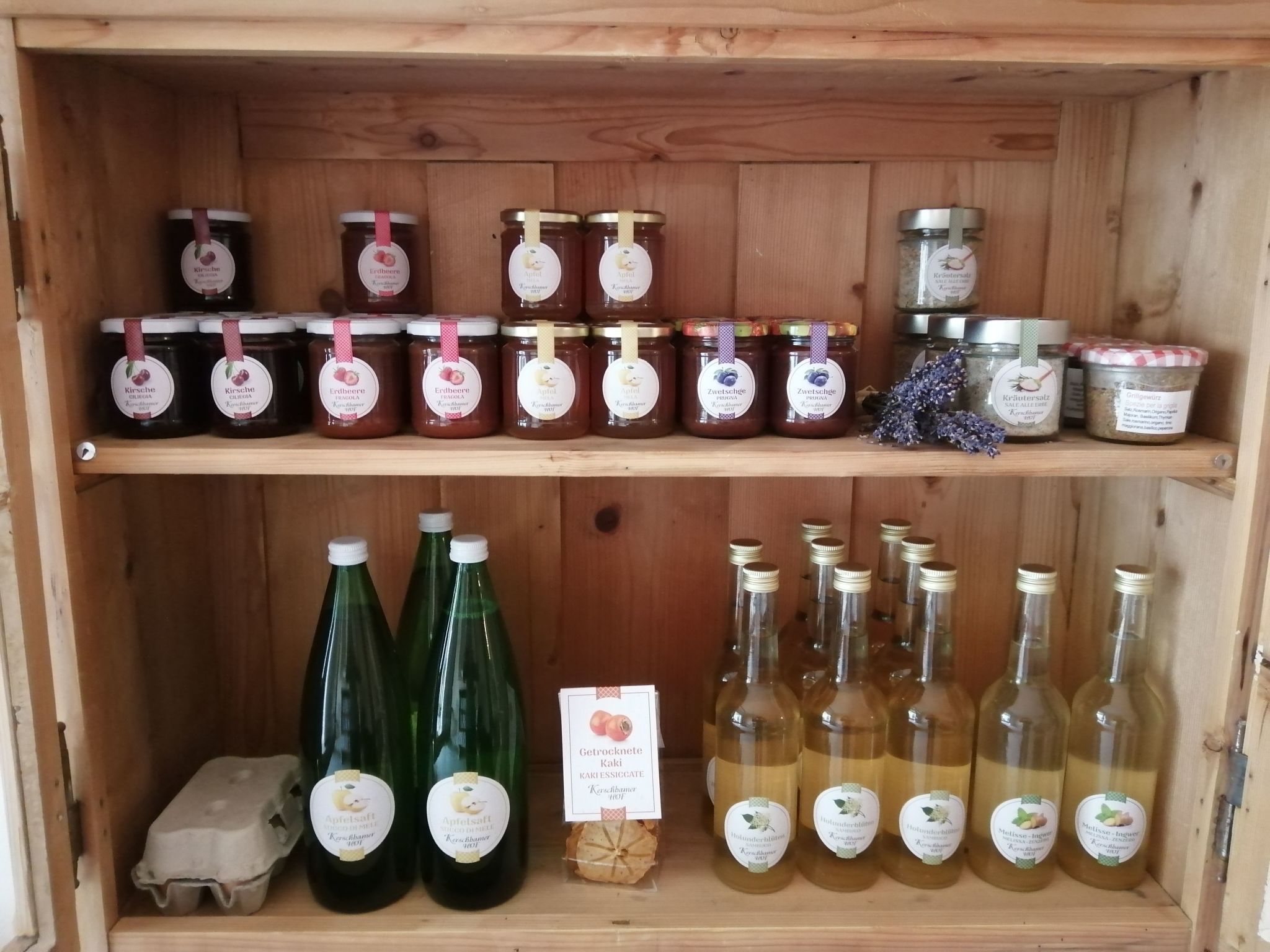 Apartment Merlot in Kurtatsch mit Panoramablick-Image-tags.info