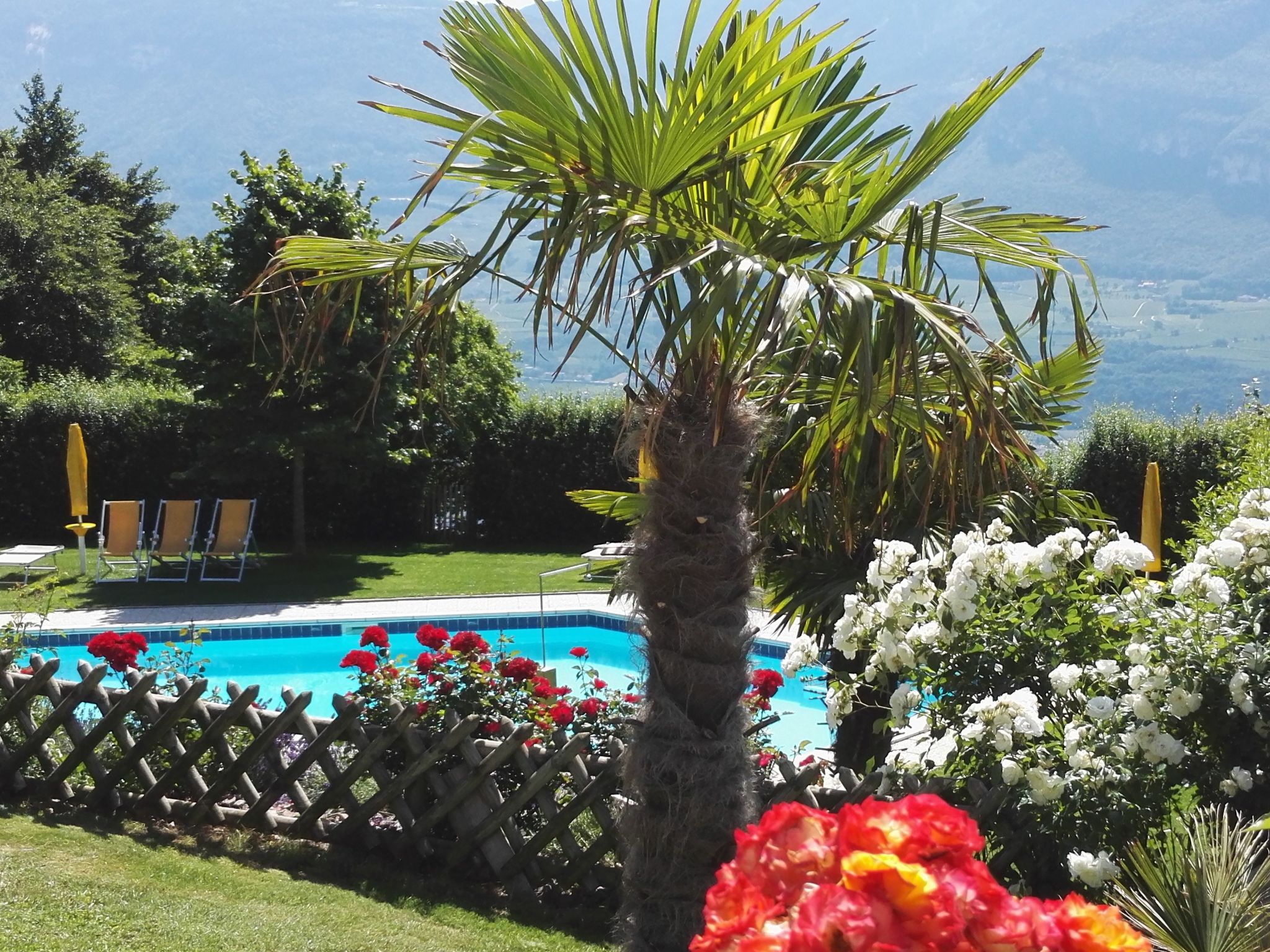 Apartment Merlot in Kurtatsch mit Panoramablick — Pool Outdoor (3 of 26)