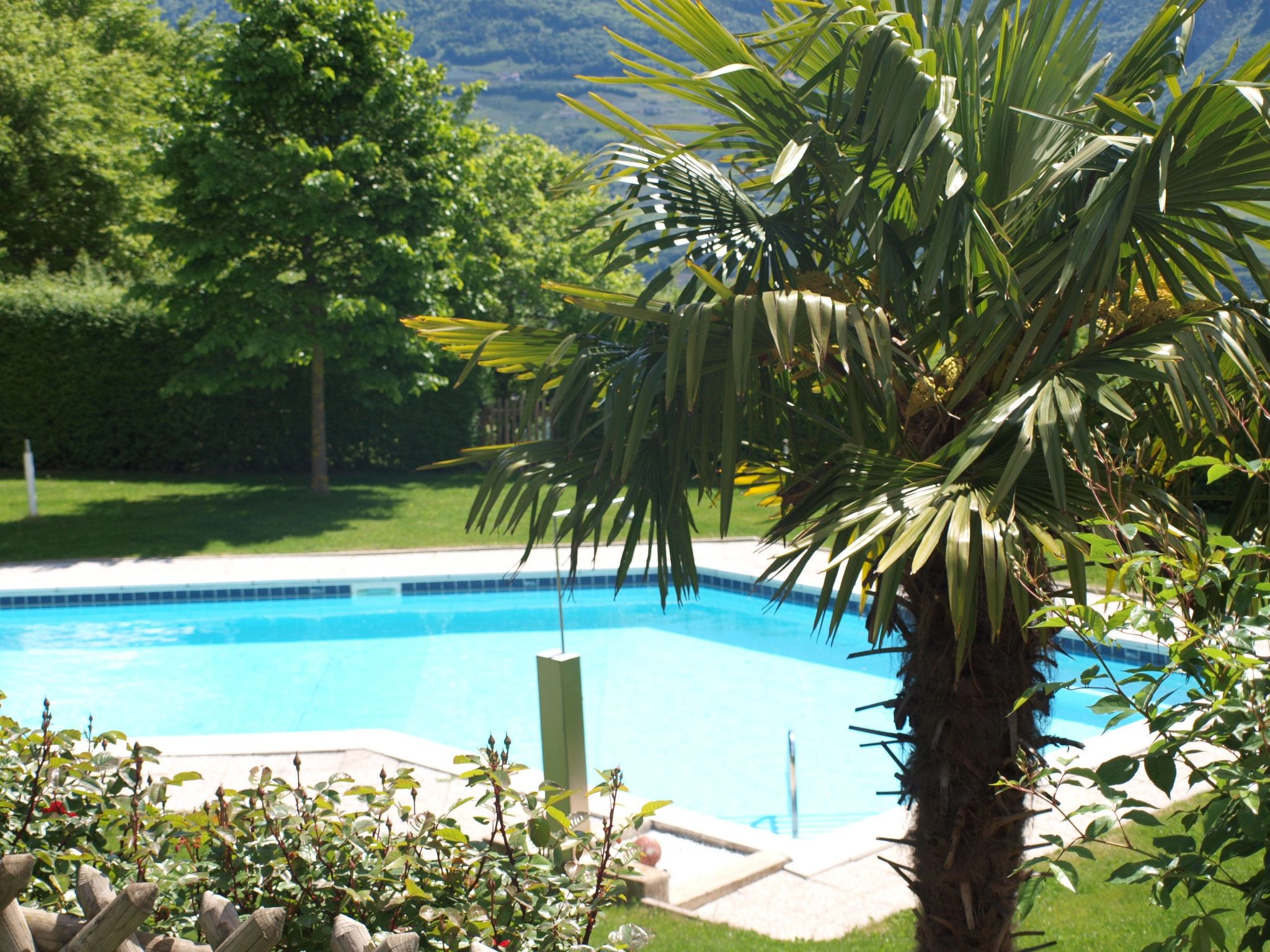 Kerschbamerhof Fewo Pink Lady mit Panoramablick-Draußen