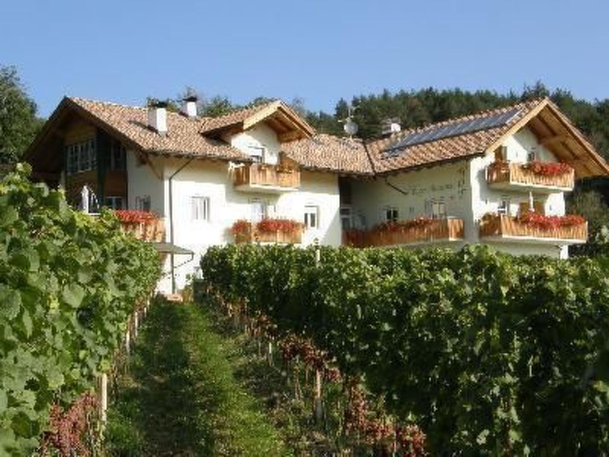 Kerschbamerhof Fewo Pink Lady mit Panoramablick-Draußen