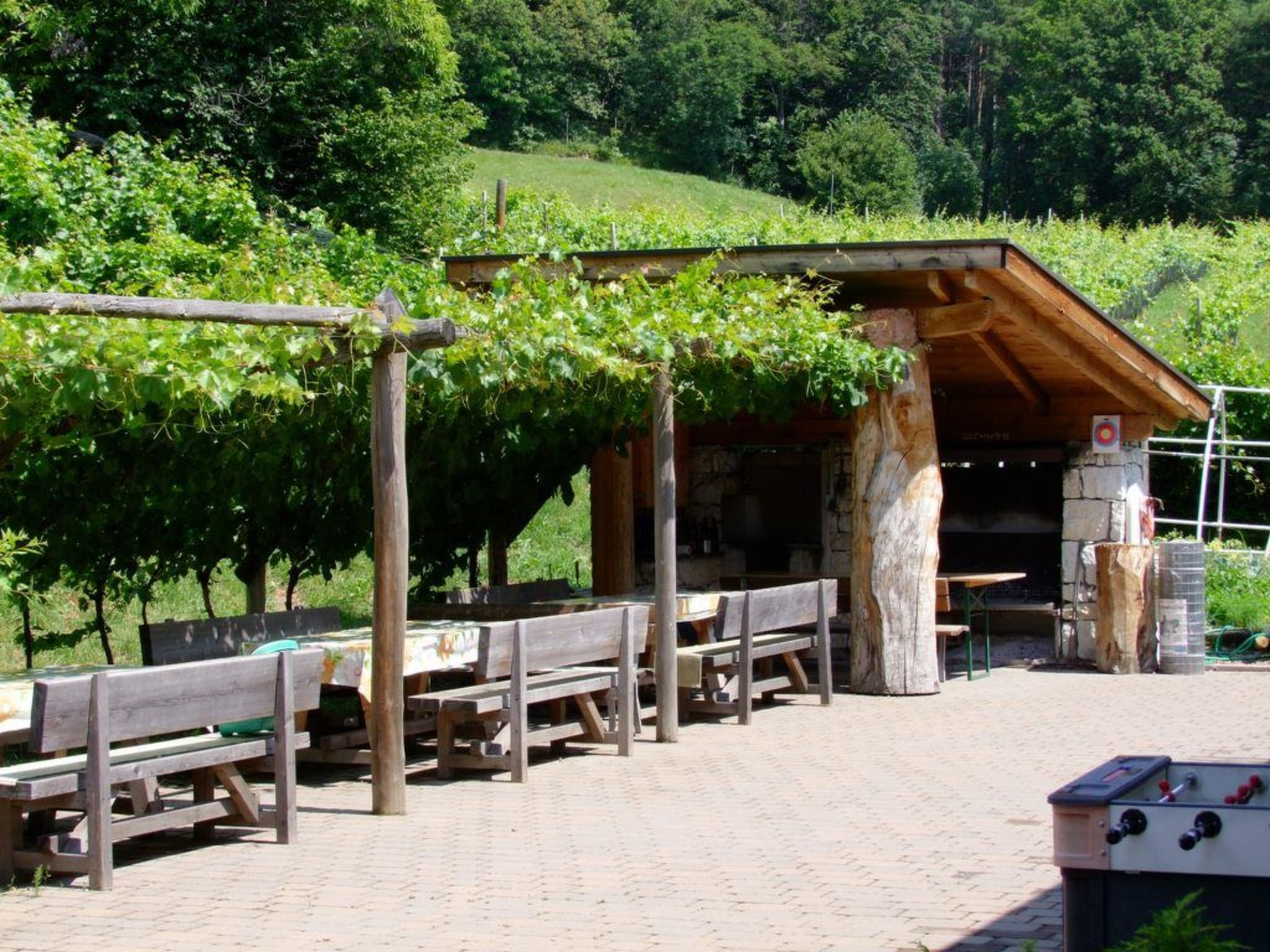 Kerschbamerhof Fewo Pink Lady mit Panoramablick-Draußen