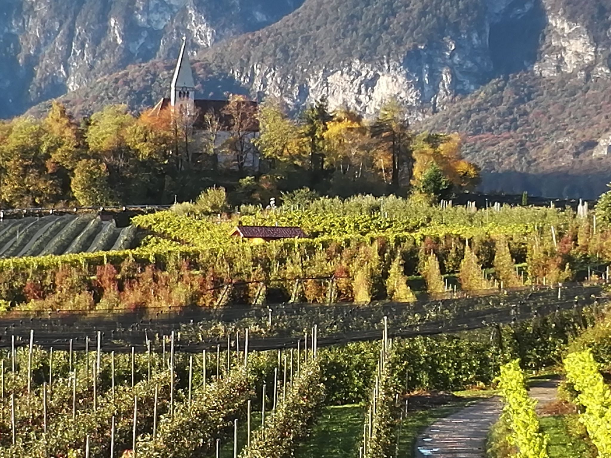 Kerschbamerhof Fewo Pink Lady mit Panoramablick-Draußen