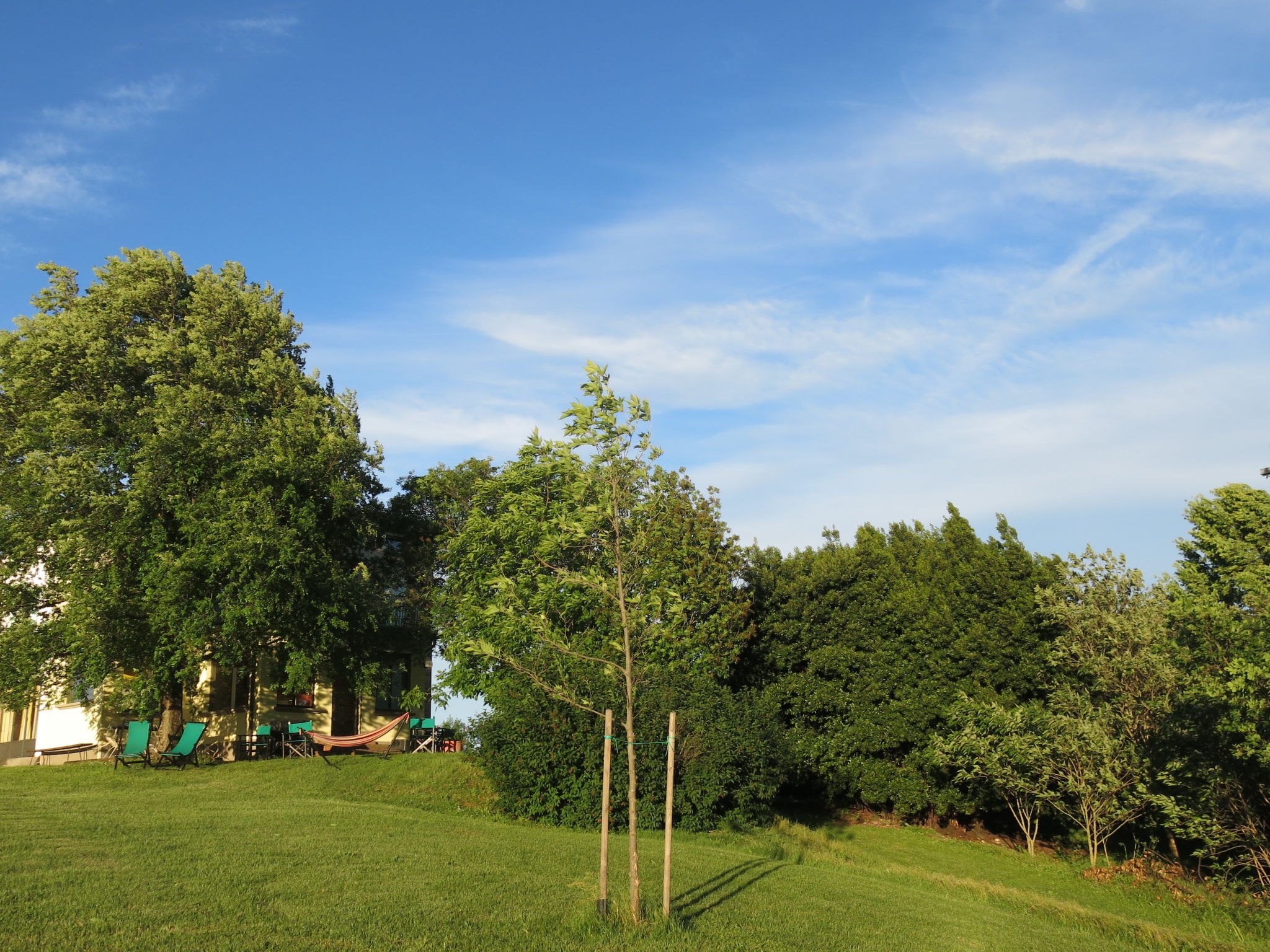 Busani - Buiten