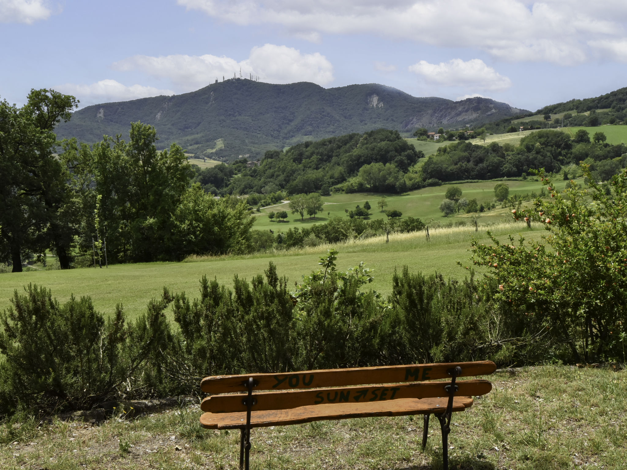 Holiday Rental Accommodation