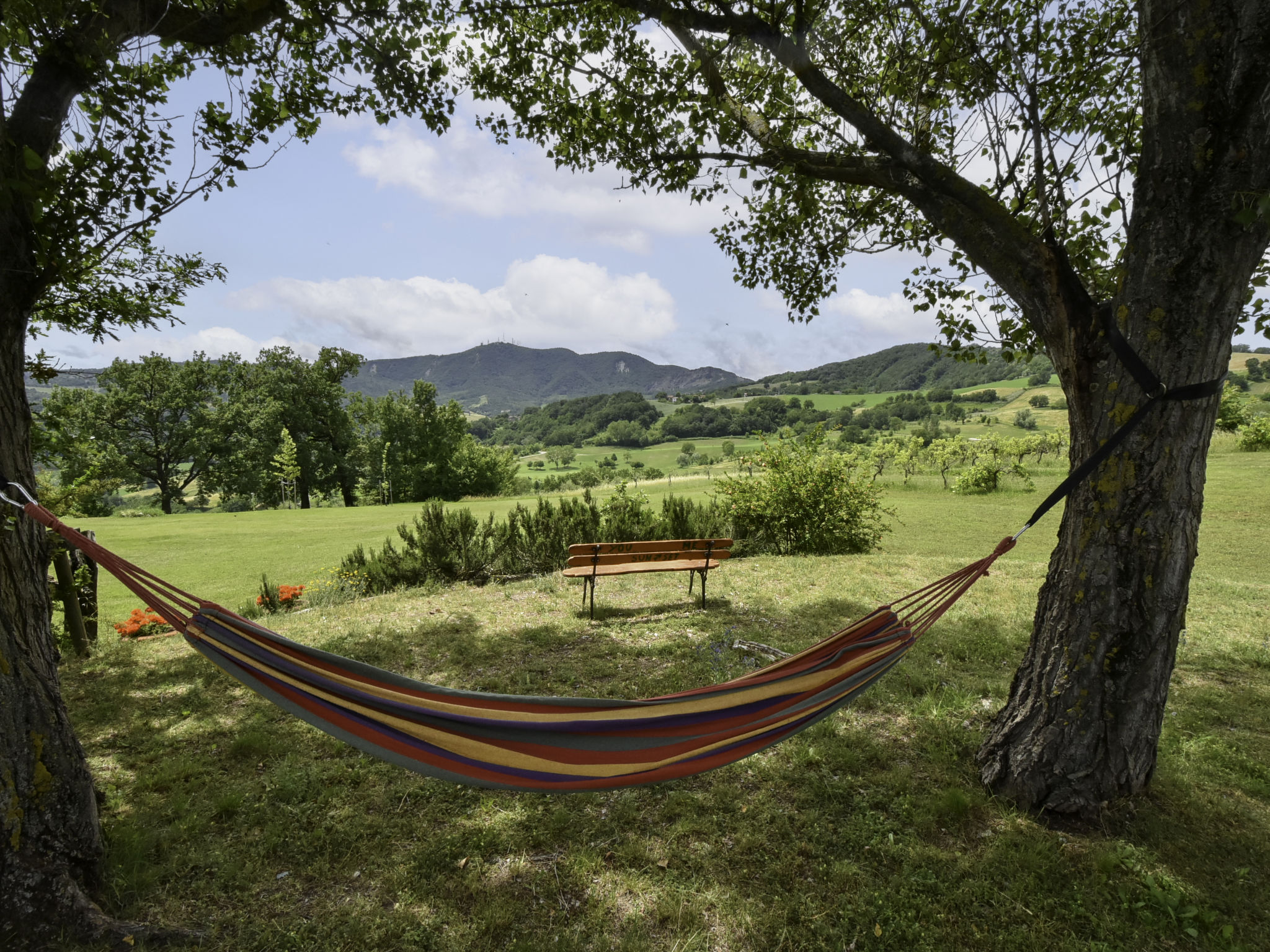 Holiday Rental Accommodation