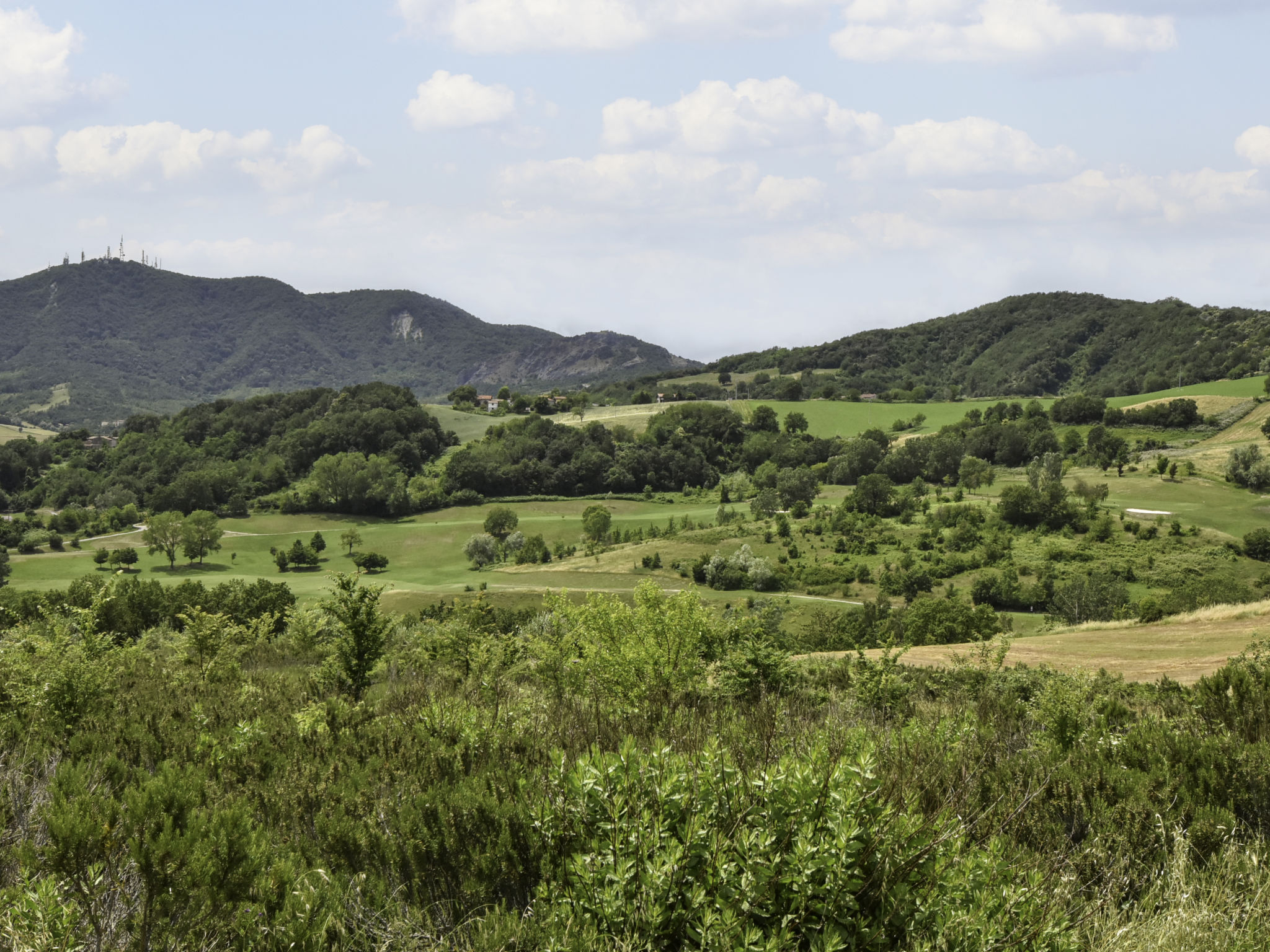 Holiday Rental Accommodation