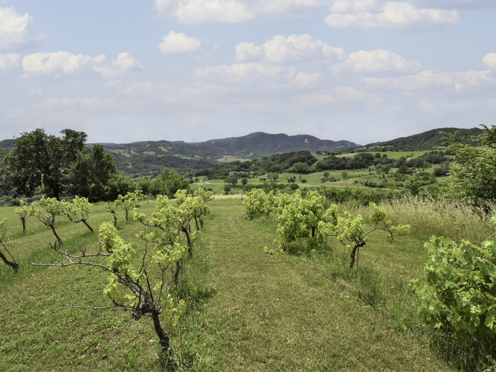 Holiday Rental Accommodation