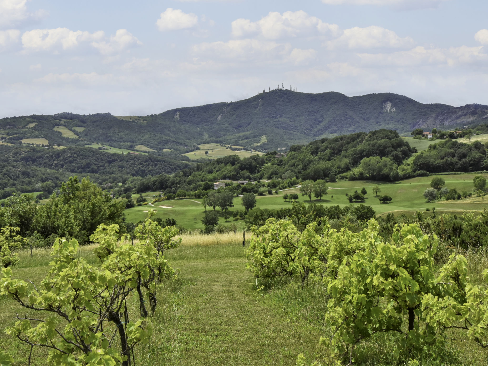 Holiday Rental Accommodation