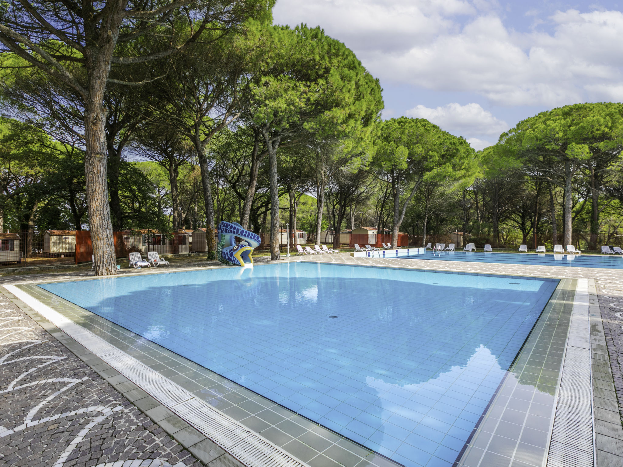 Belvedere Pineta Camping Village — Pool Outdoor (3 of 45)