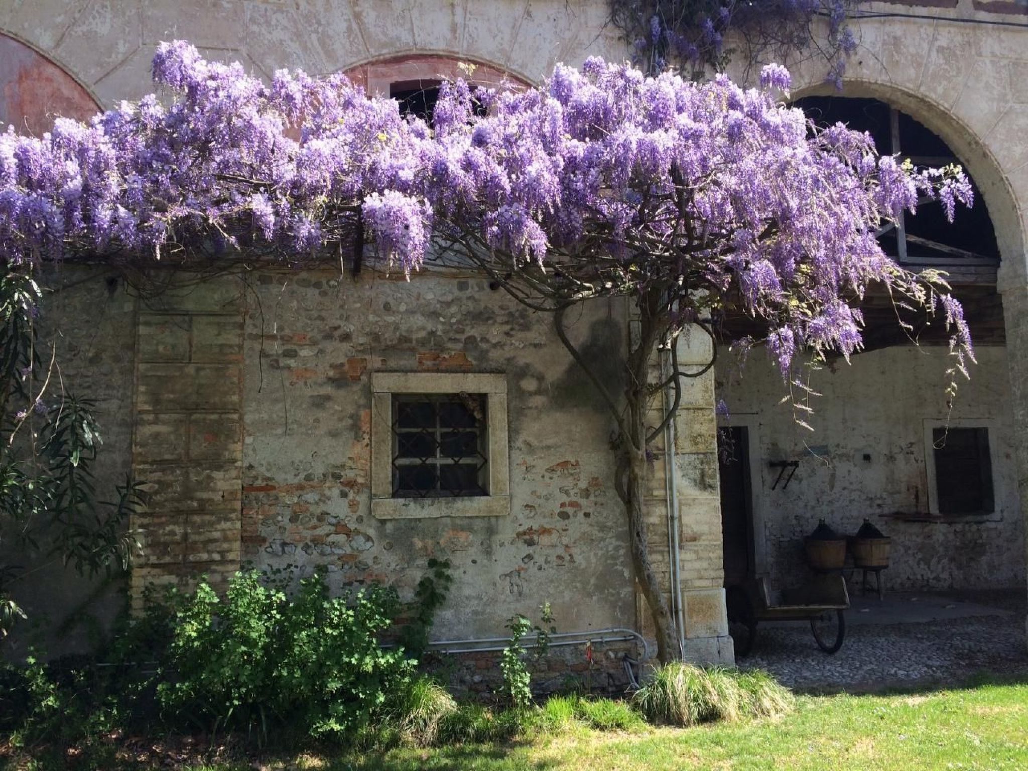 Bellissimo Villa Adelaide