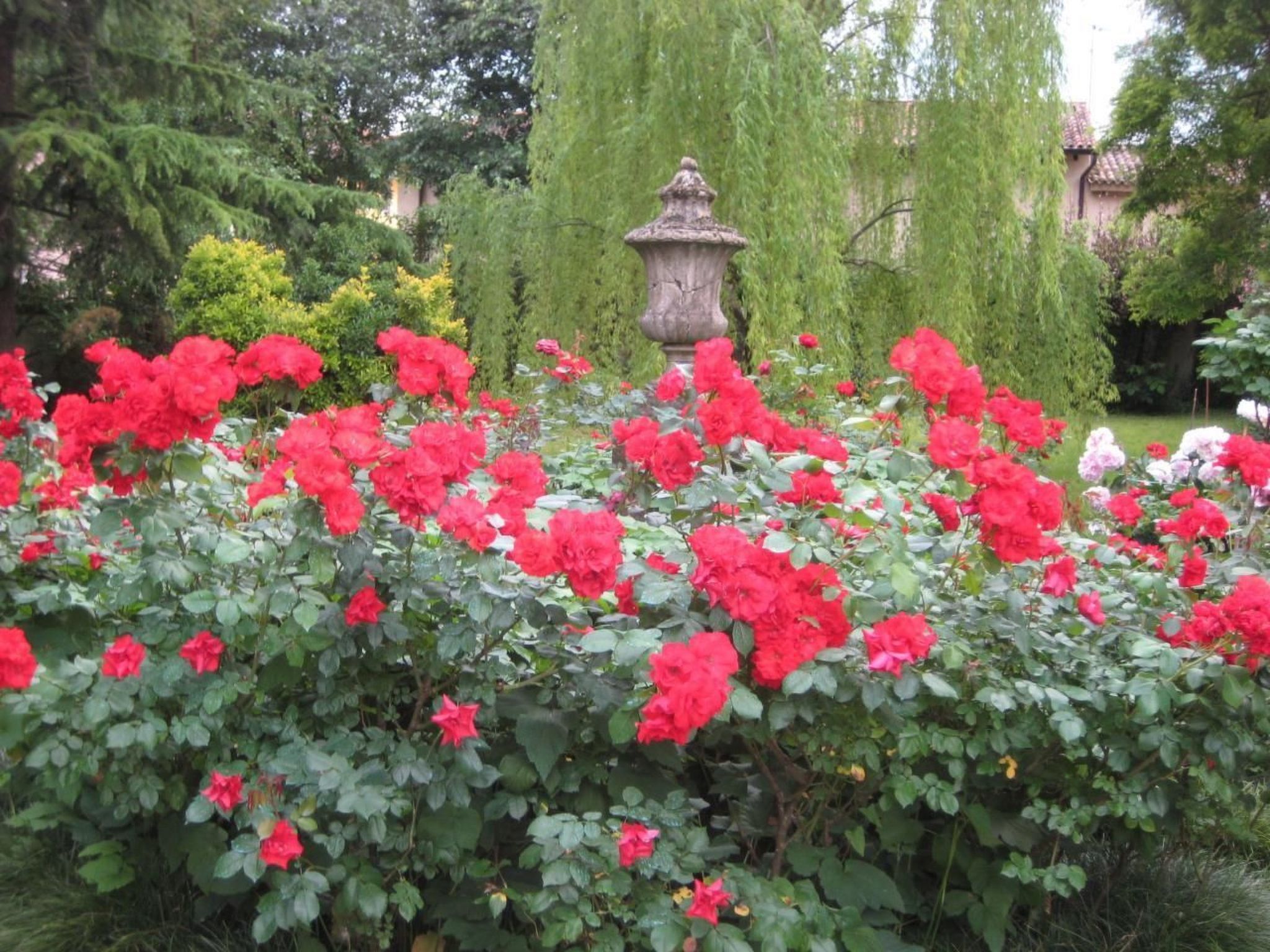 Bellissimo Villa Adelaide-Image-tags.info