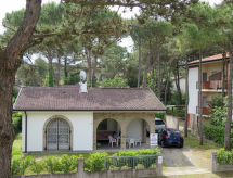 Villa Salvador
