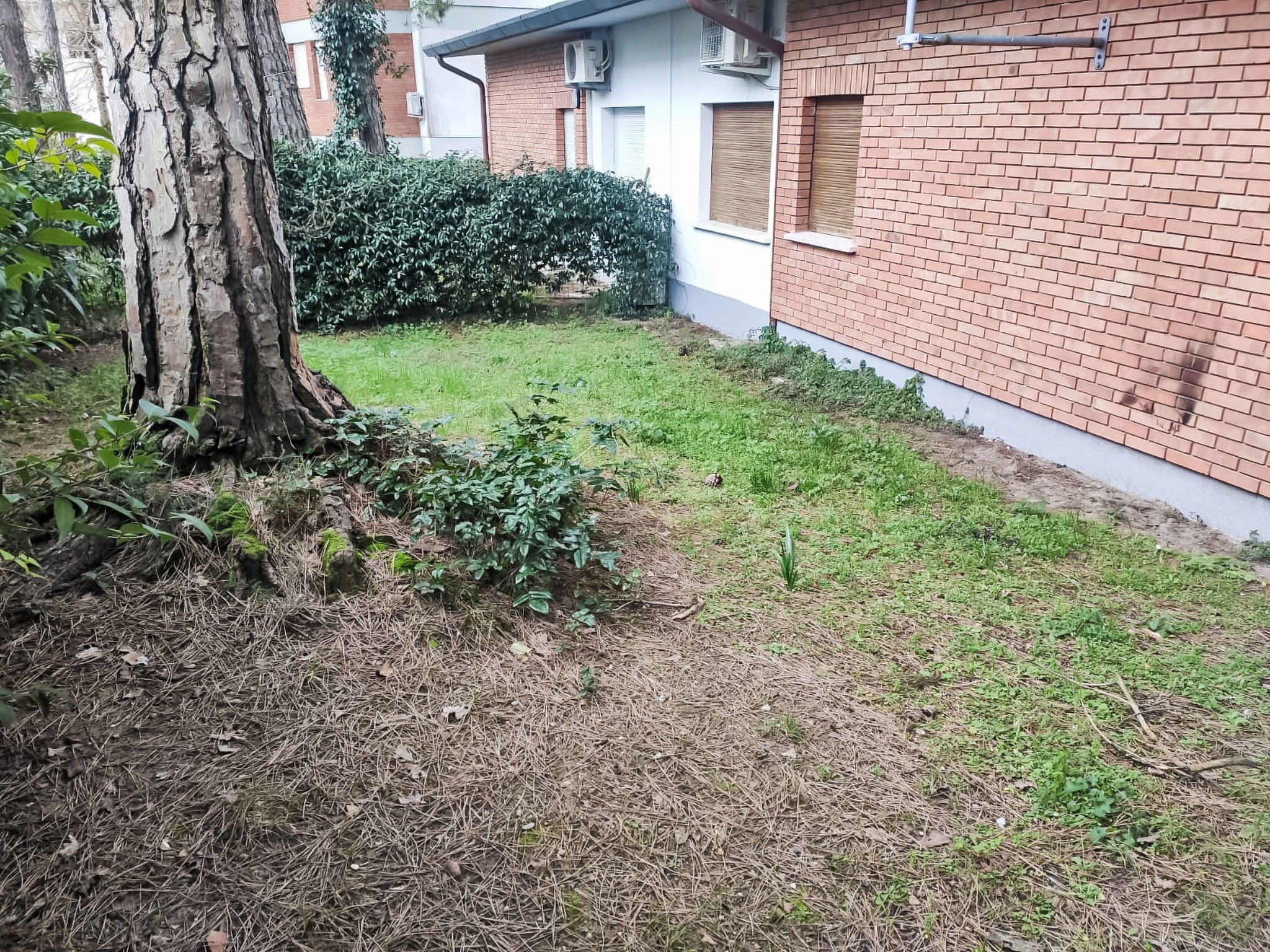 'Dolores' mit Privatparkplatz - Buiten