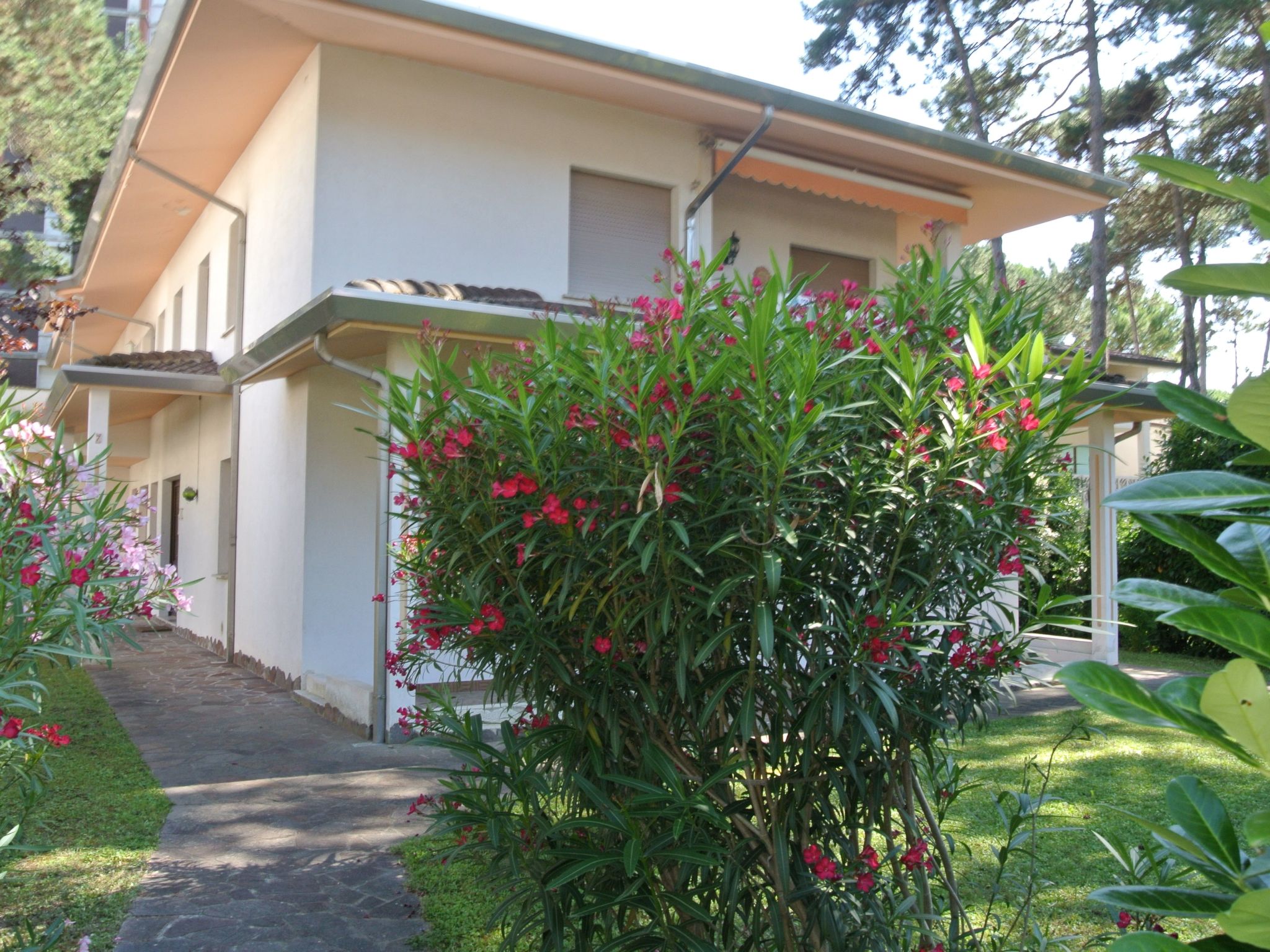 Gemütliche Wohnung in der Villa Sternila - Image-tags.info