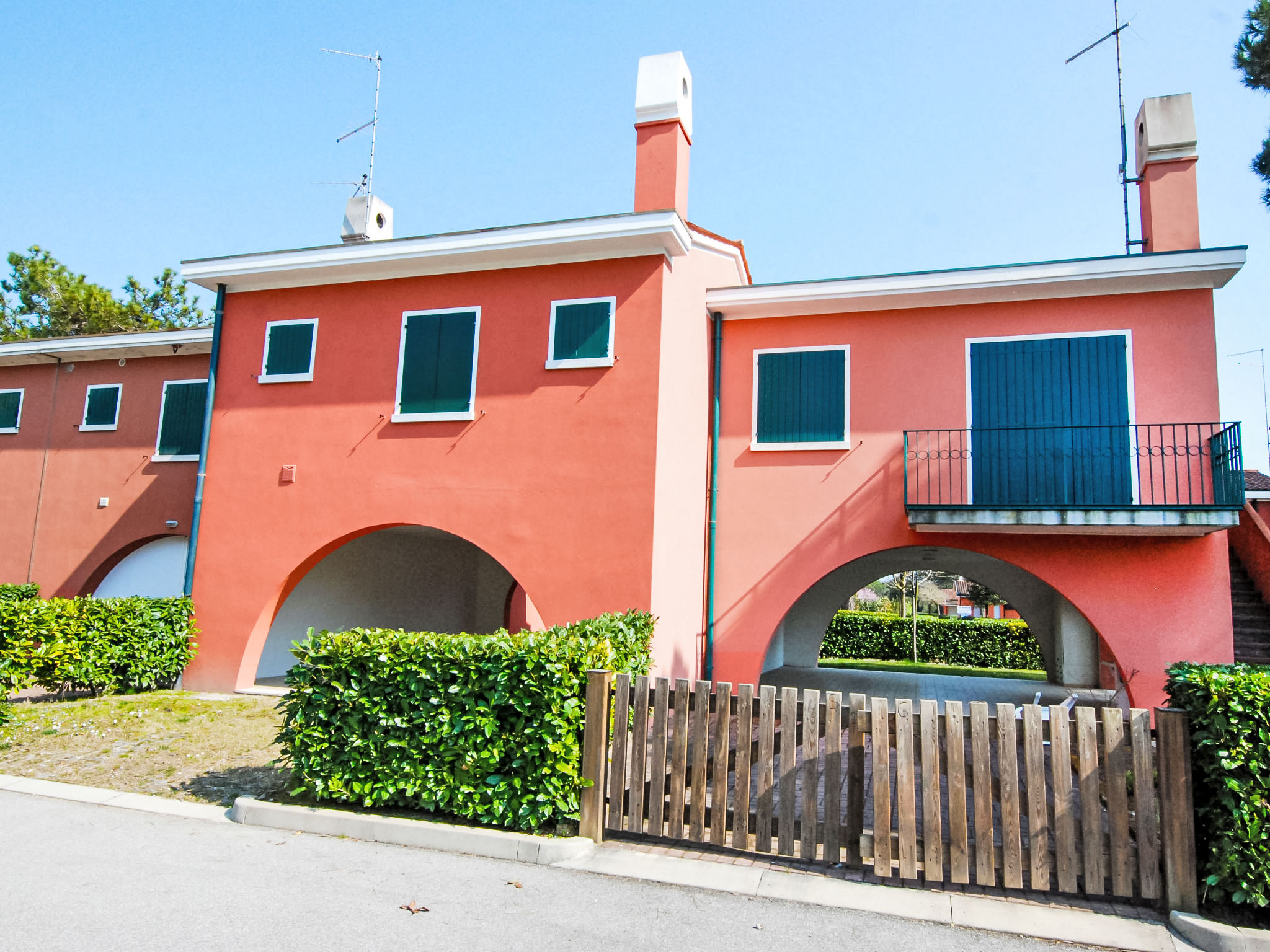 Photo of Michelangelo