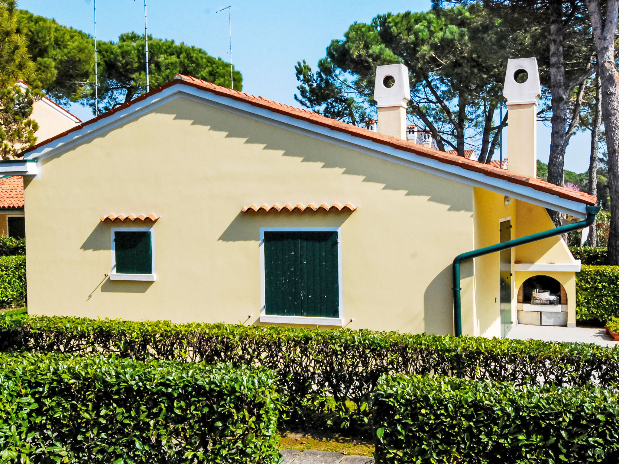 Photo of Michelangelo