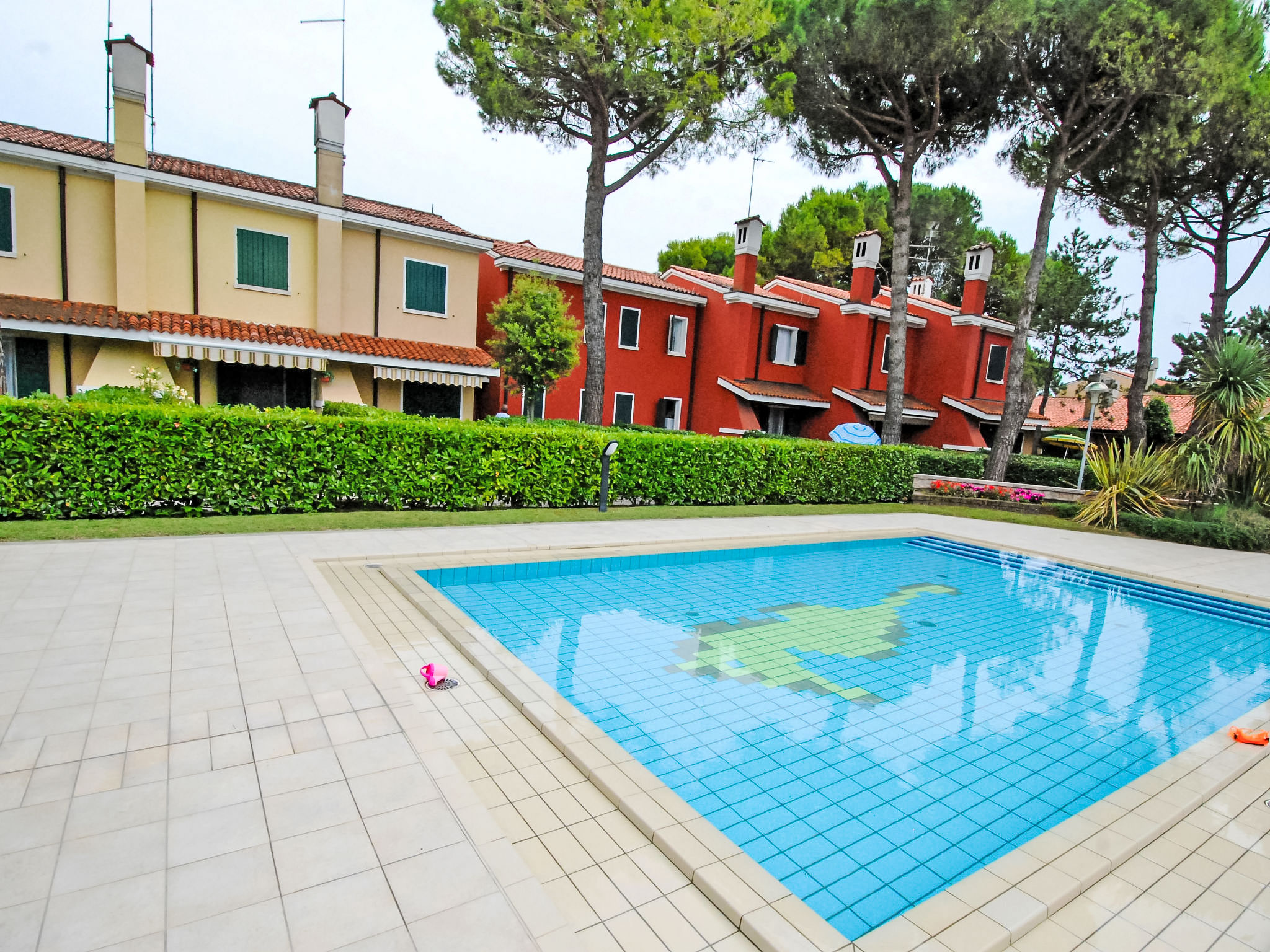 Photo of Michelangelo