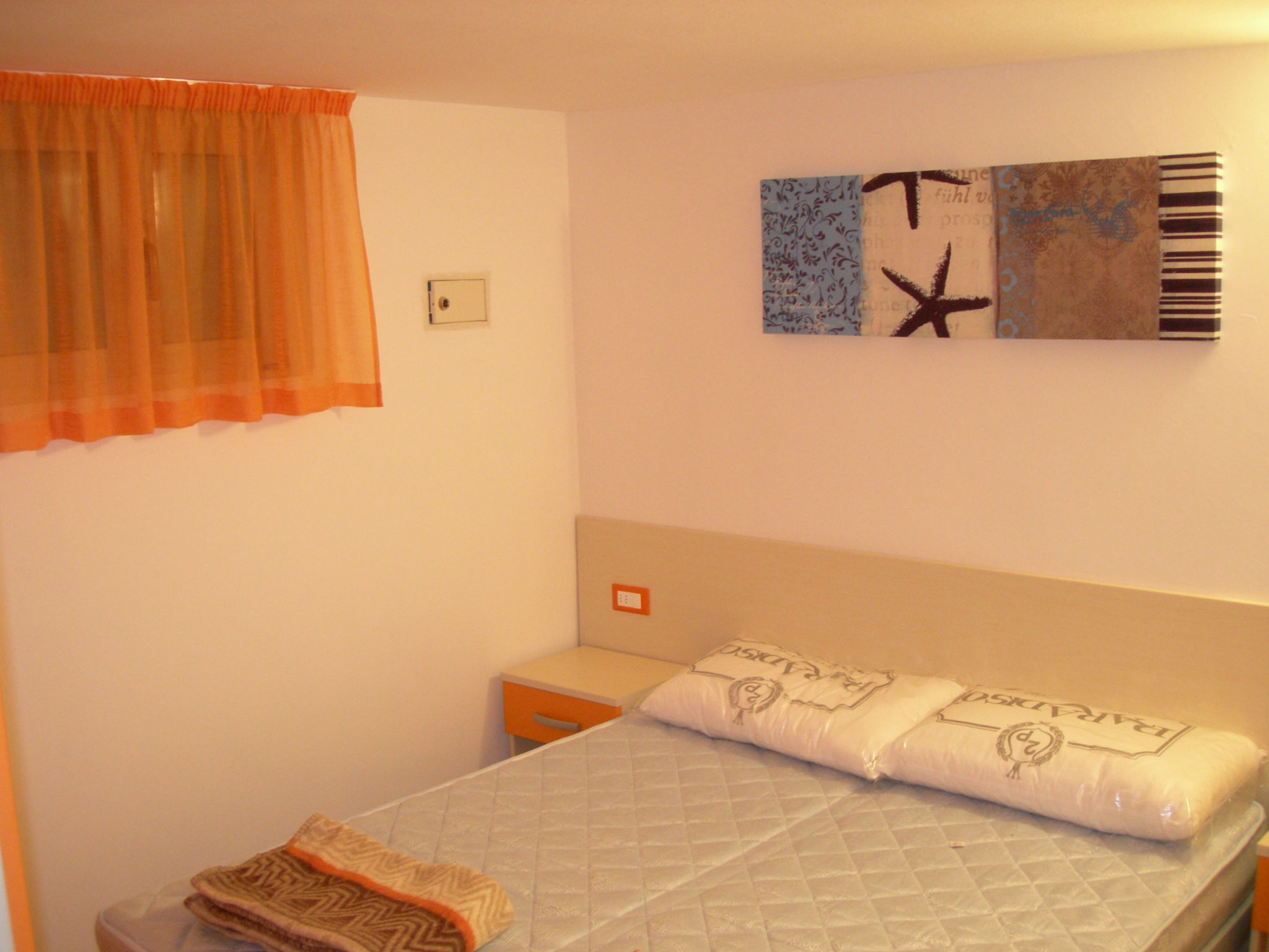 Photo of Palma B