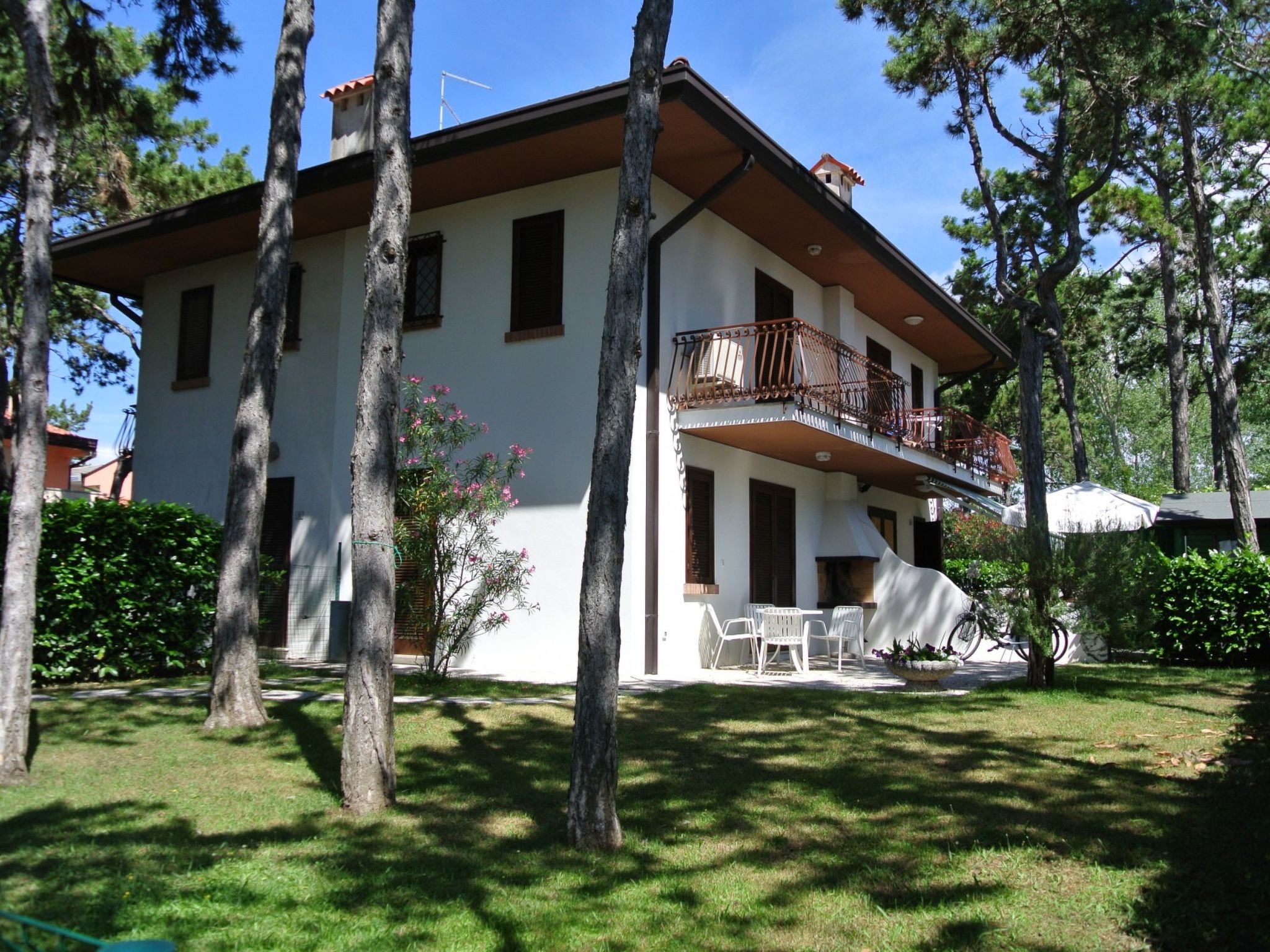 Pinea 33