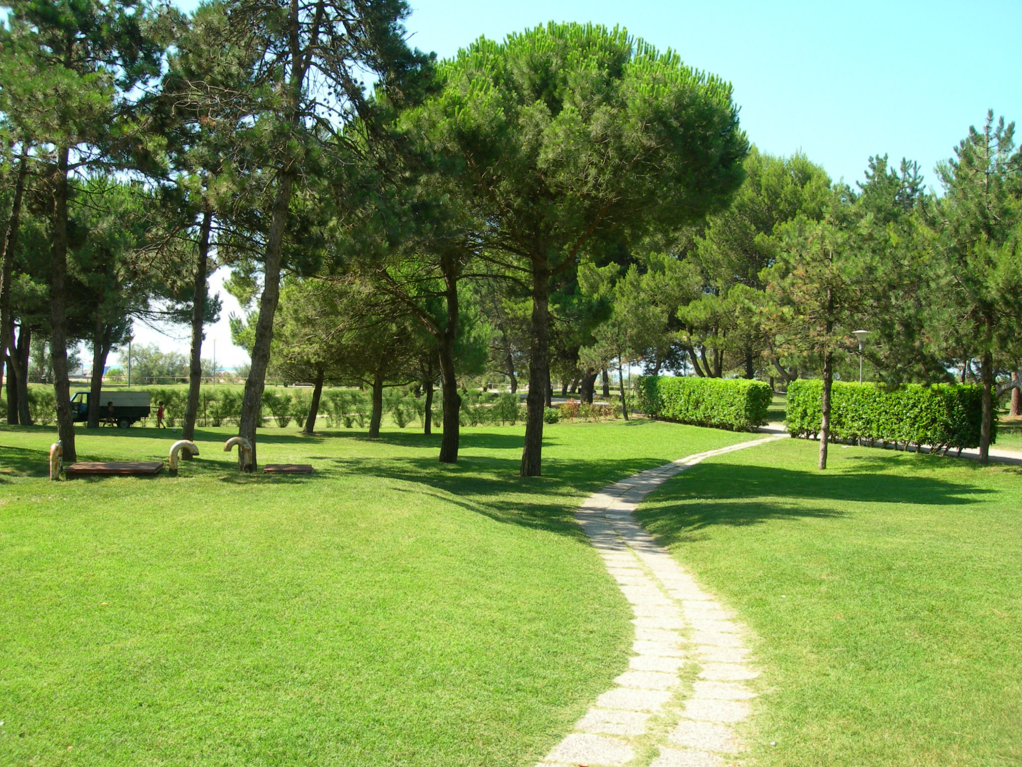 Palma C - Inside