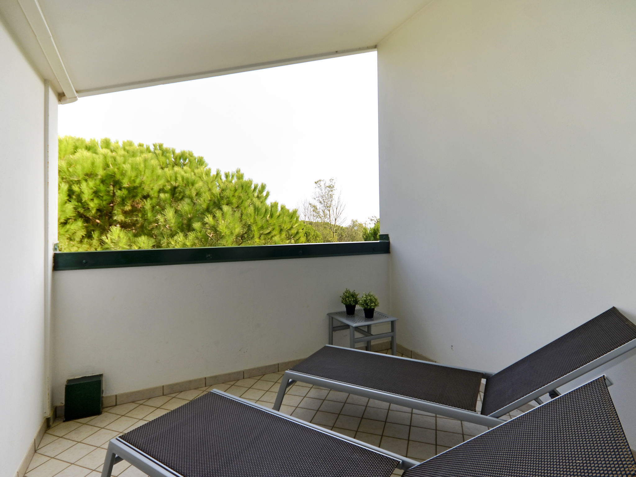 Photo of Le Altane (BIB681)