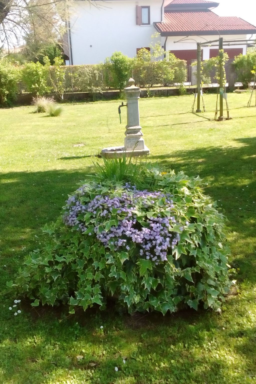 Photo of auf einem ummauerten Grundstück