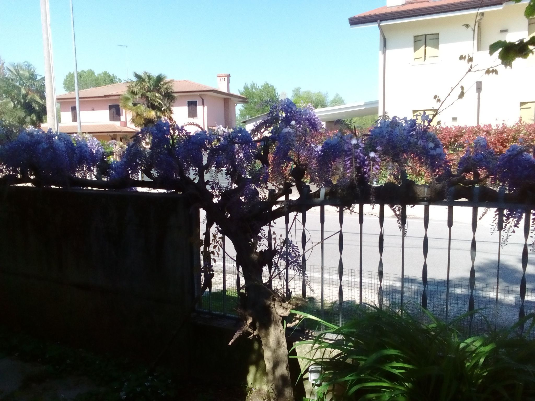 Auf einem ummauerten Grundstück-Image-tags.info