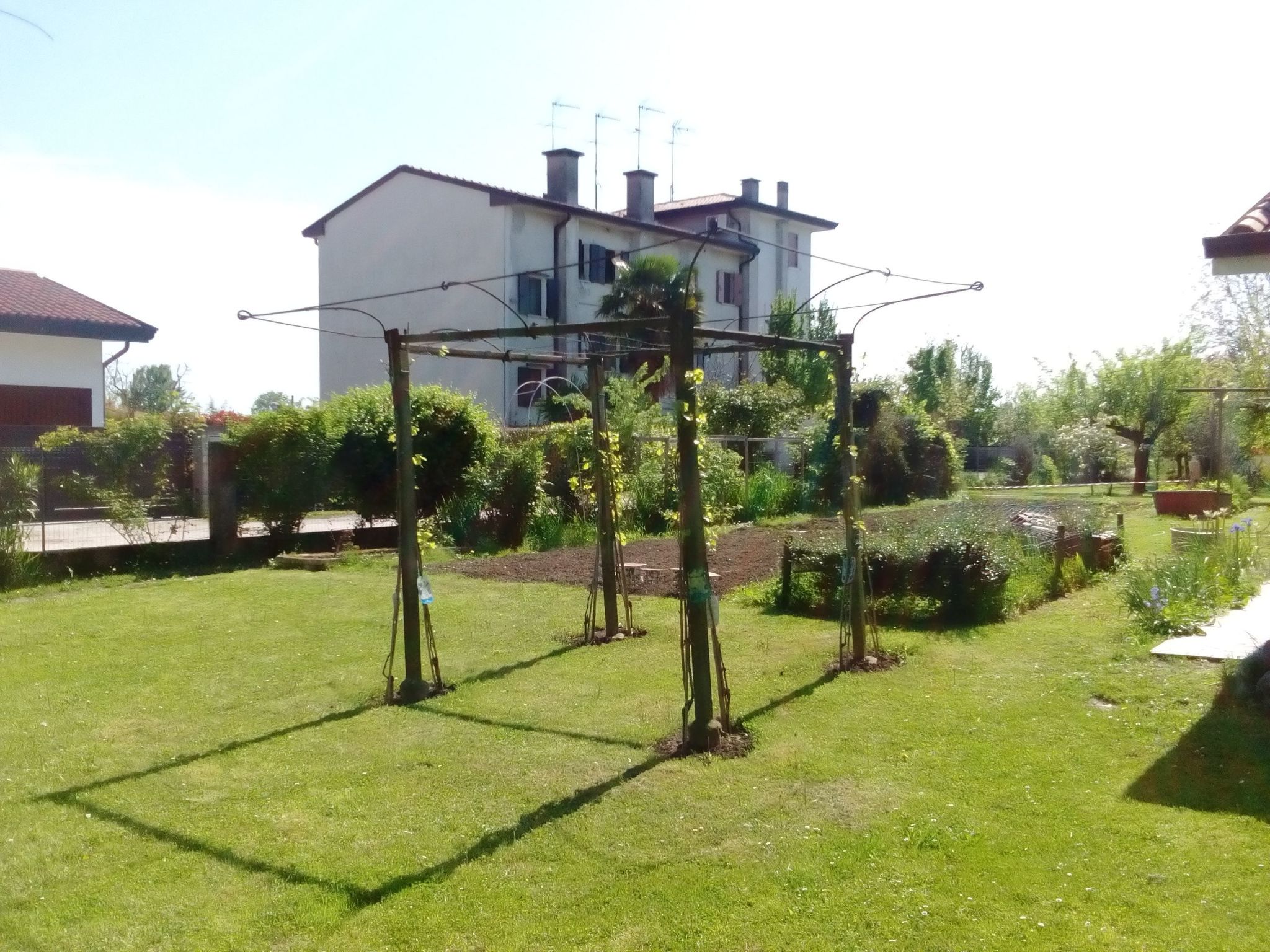 Auf einem ummauerten Grundstück-Image-tags.info