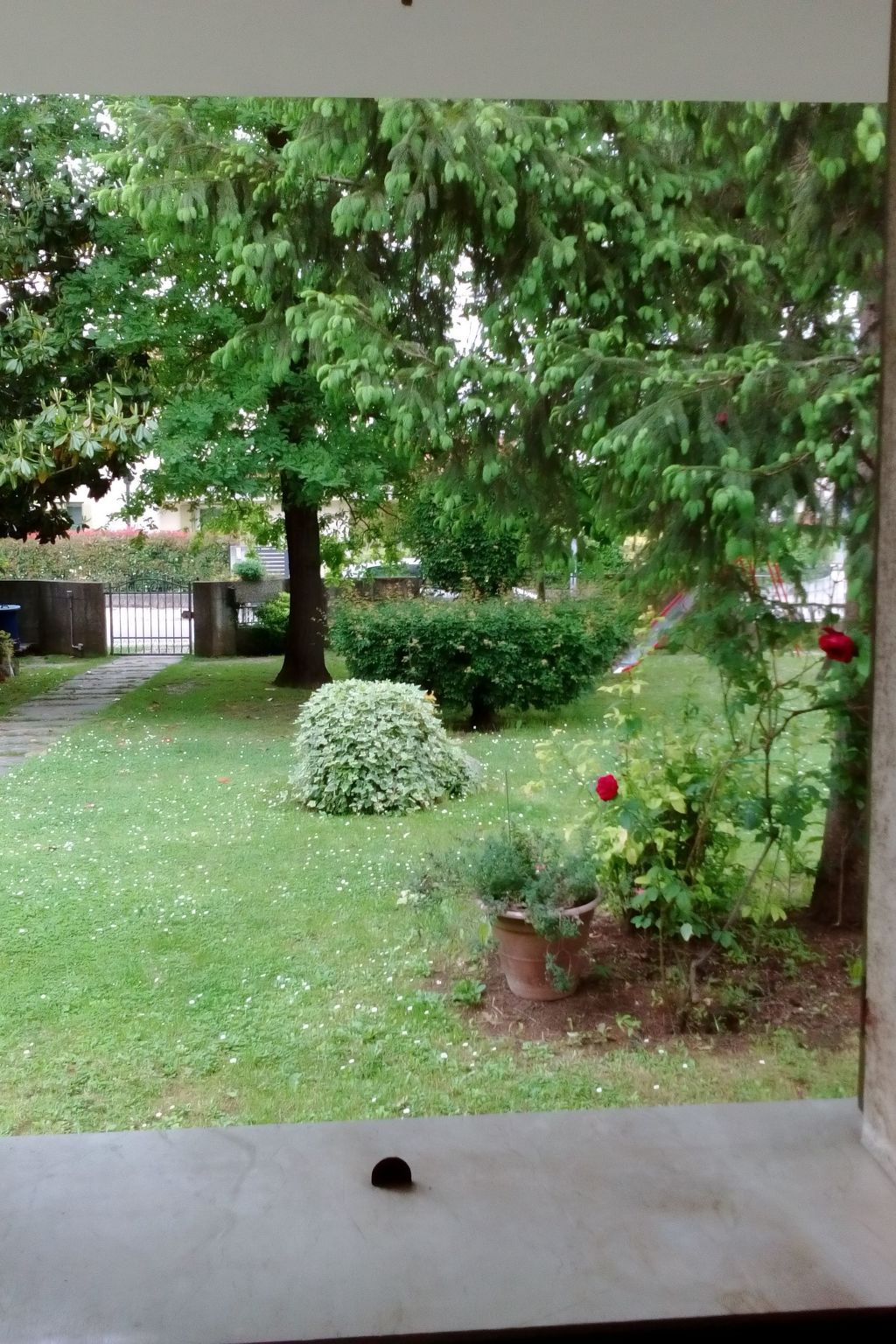 Auf einem ummauerten Grundstück-Dehors