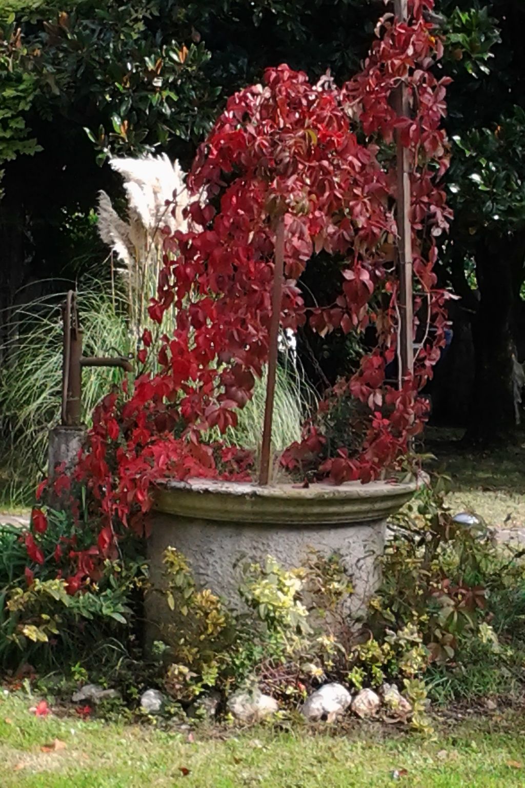 Auf einem ummauerten Grundstück-Dehors