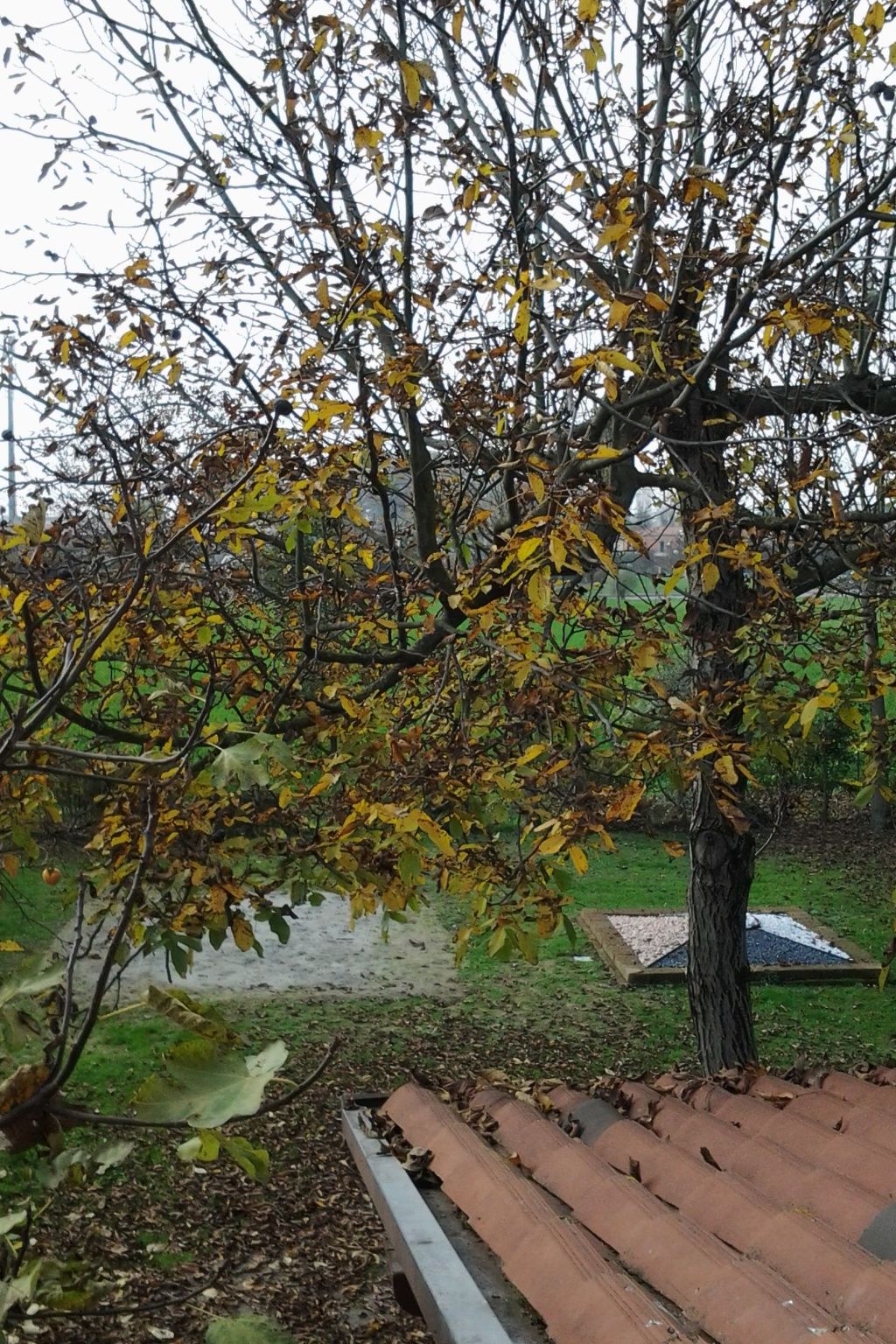 Auf einem ummauerten Grundstück-Dehors