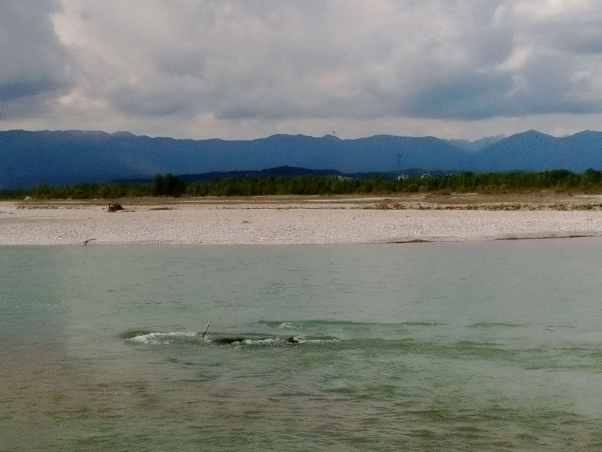 Photo of auf einem ummauerten Grundstück