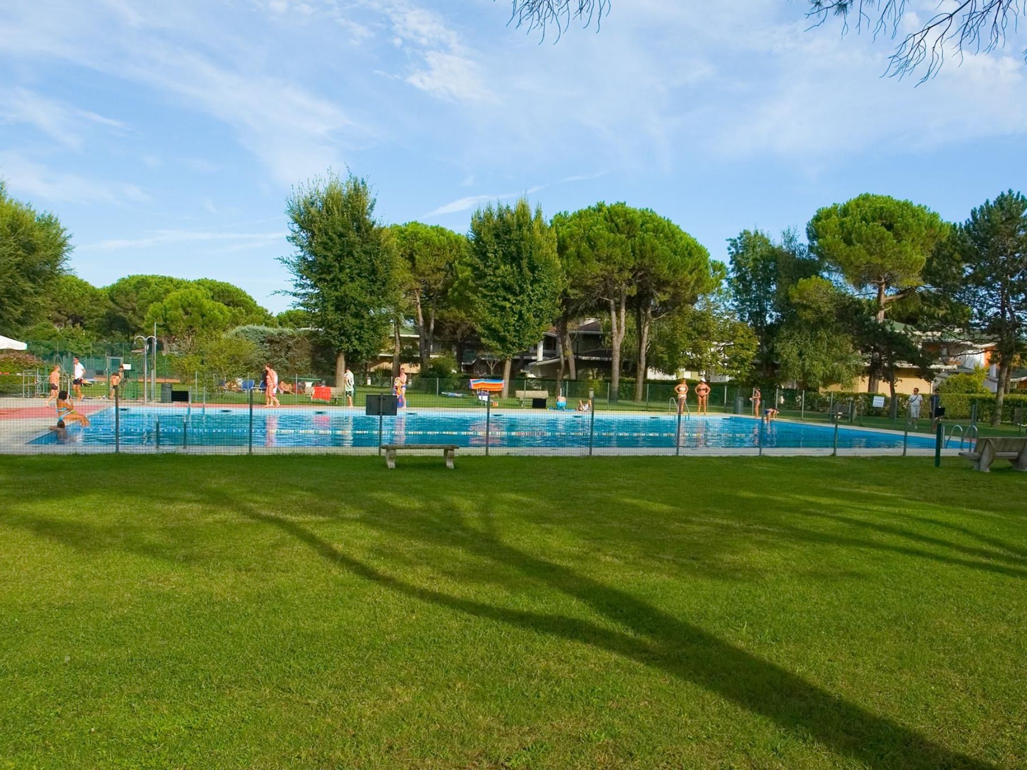 "Ollimpia 82"-Inside