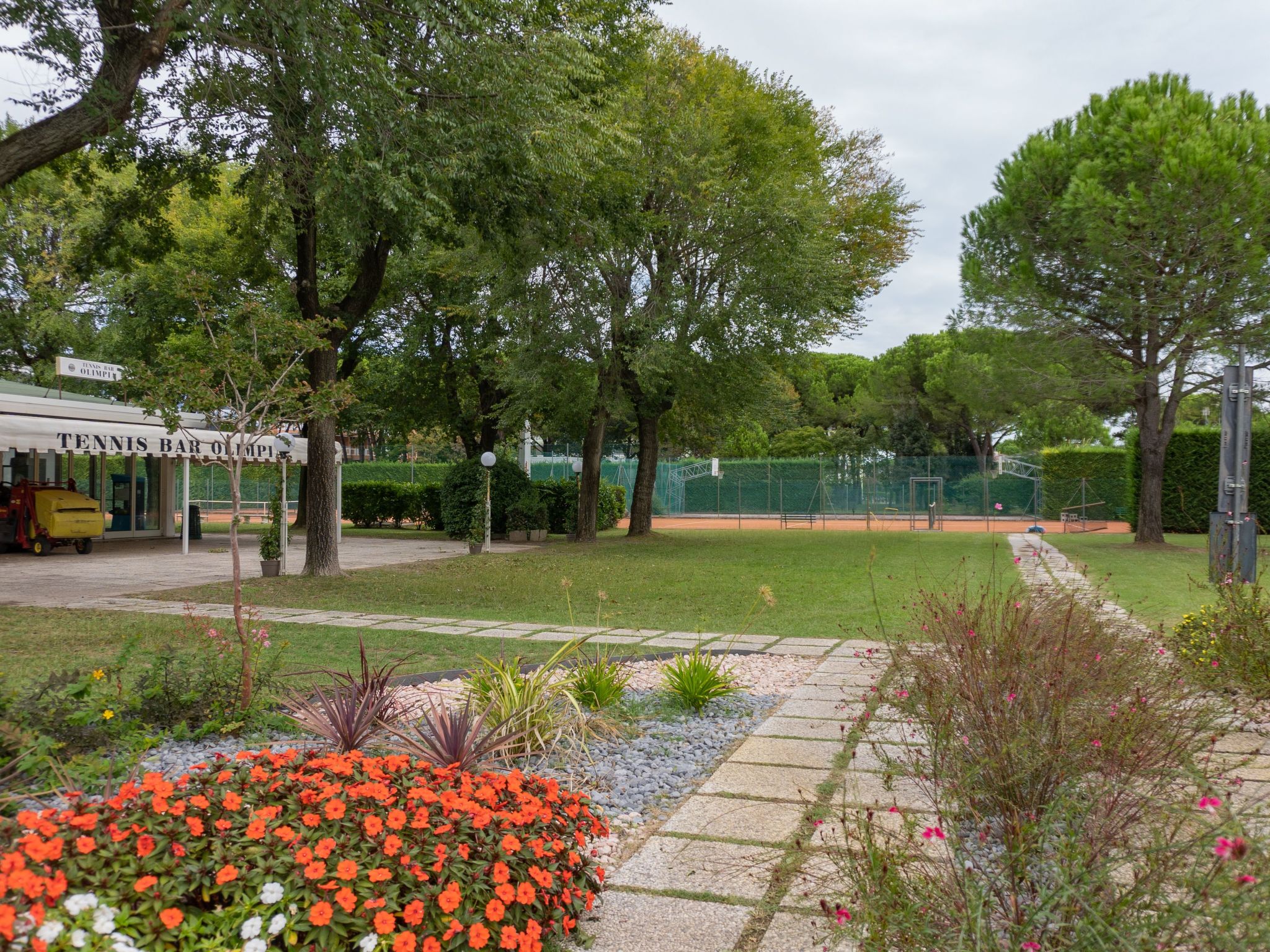 "Ollimpia 82"-Inside