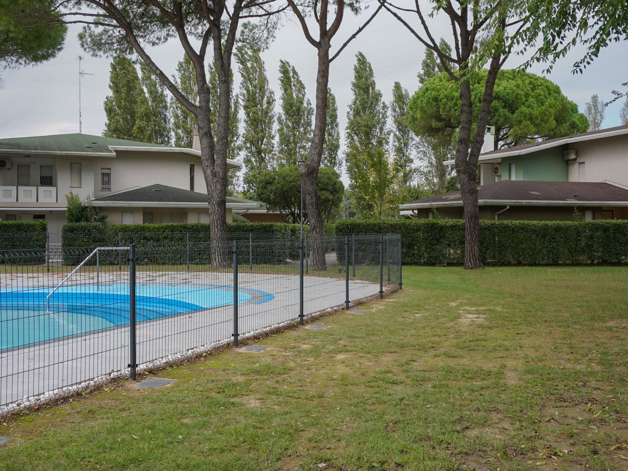 "Ollimpia 82"-Inside