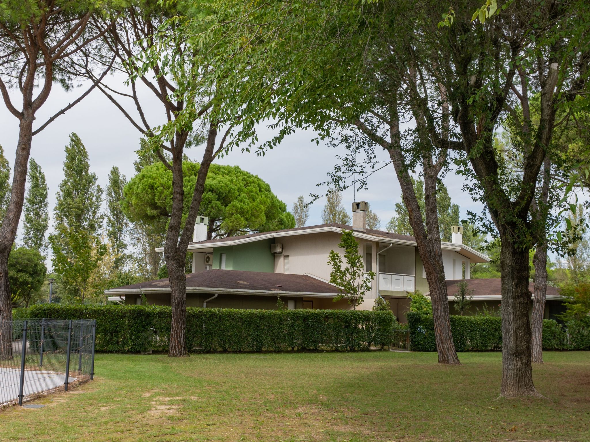 "Ollimpia 82"-Inside