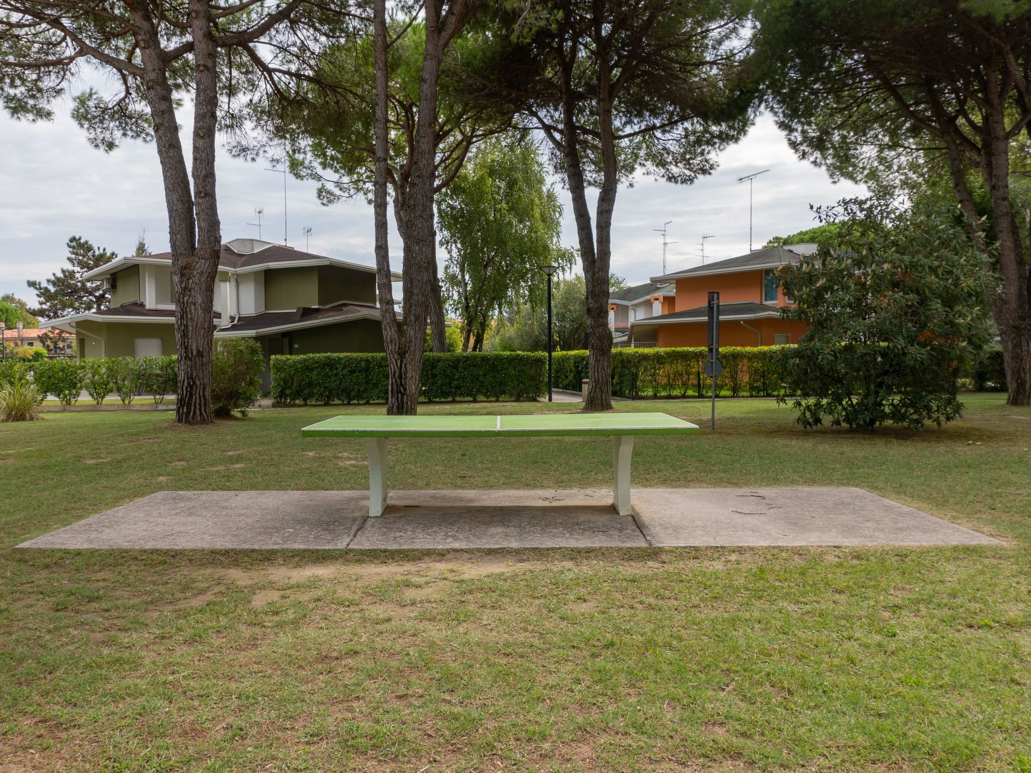 "Ollimpia 82"-Inside