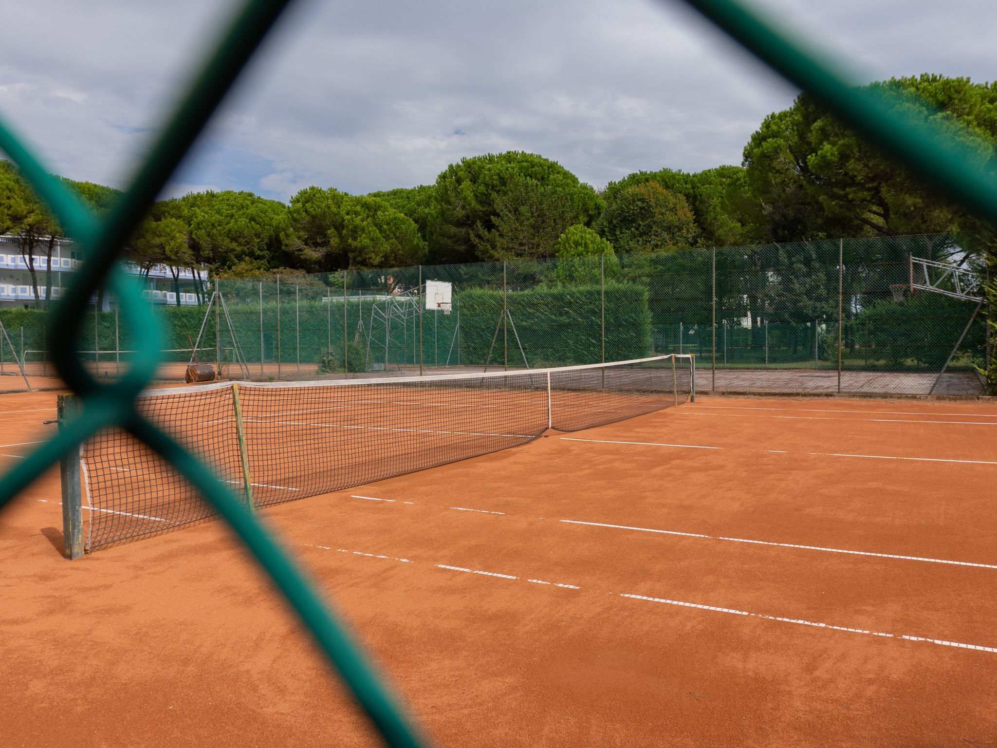 "Ollimpia 82"-Inside