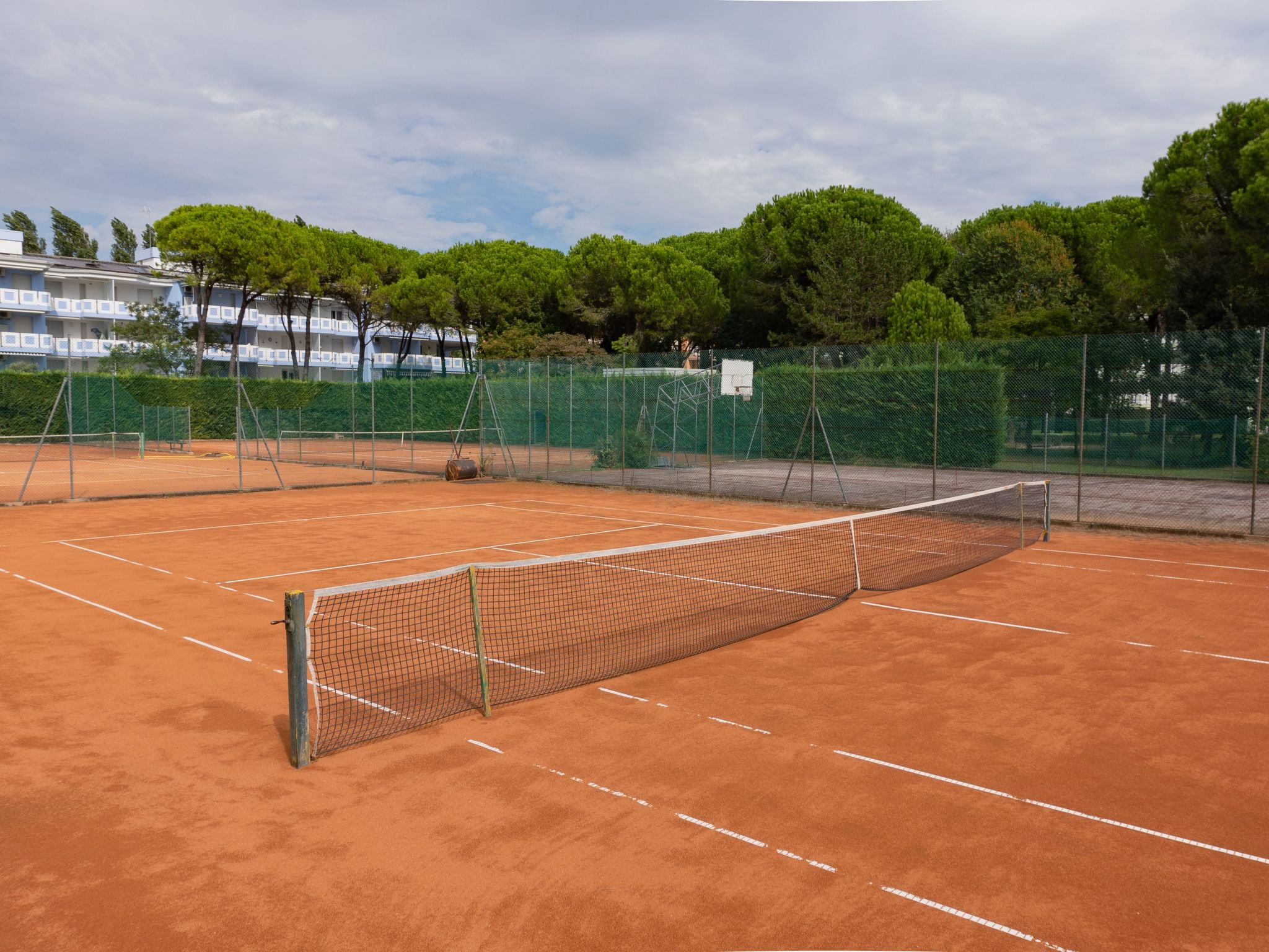 "Ollimpia 82"-Inside