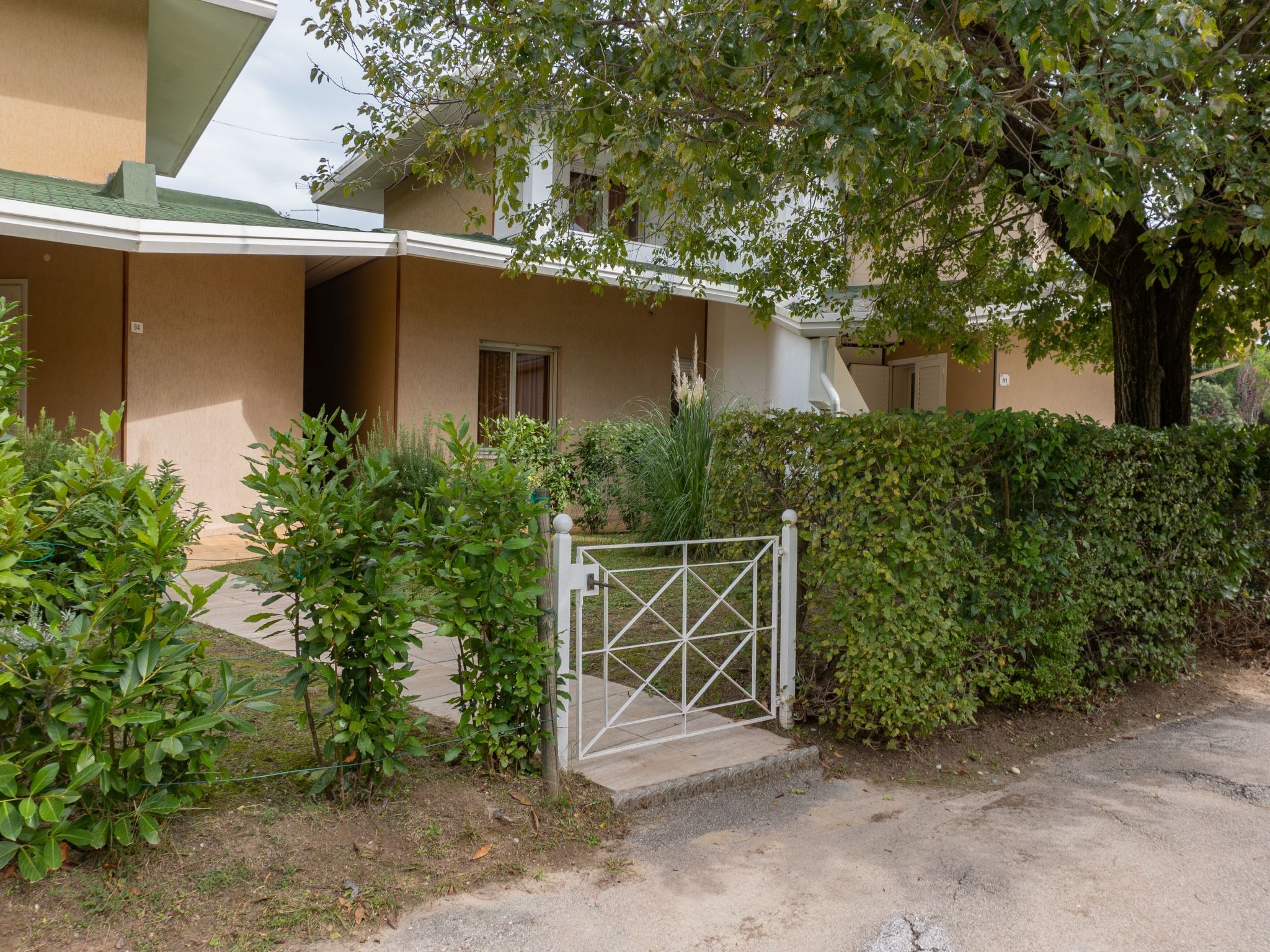 "Ollimpia 82"-Inside