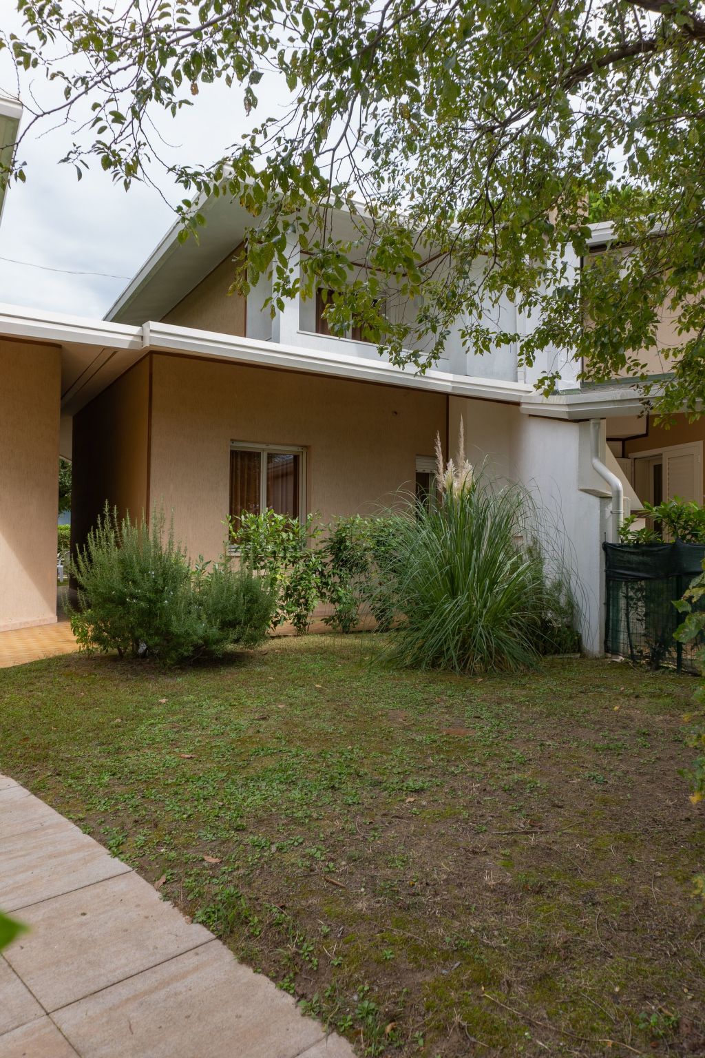 "Ollimpia 82"-Inside