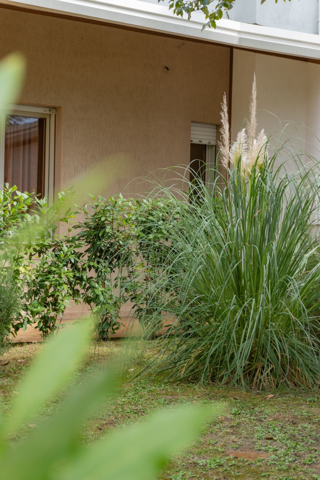 "Ollimpia 82"-Inside