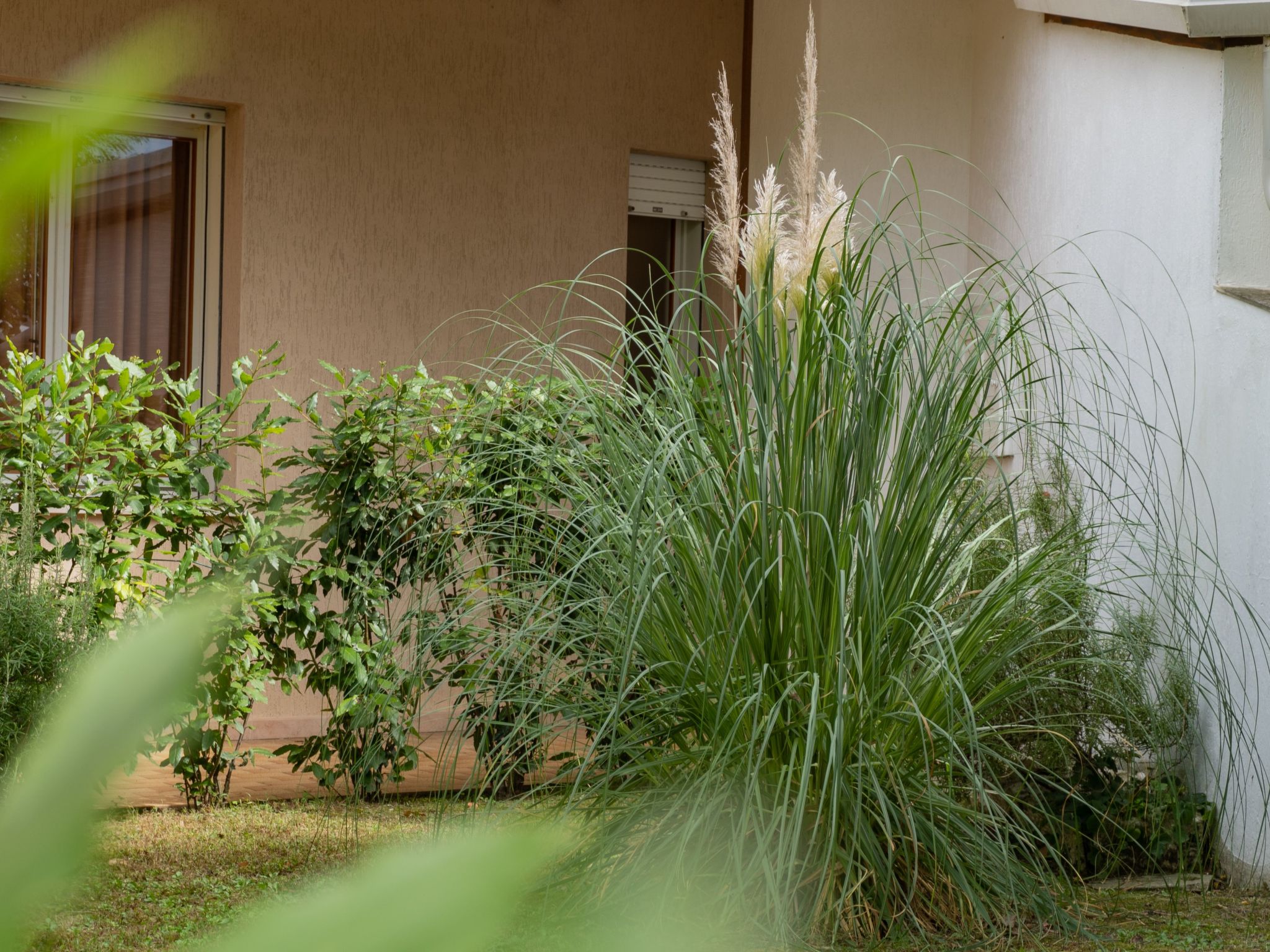 "Ollimpia 82"-Inside