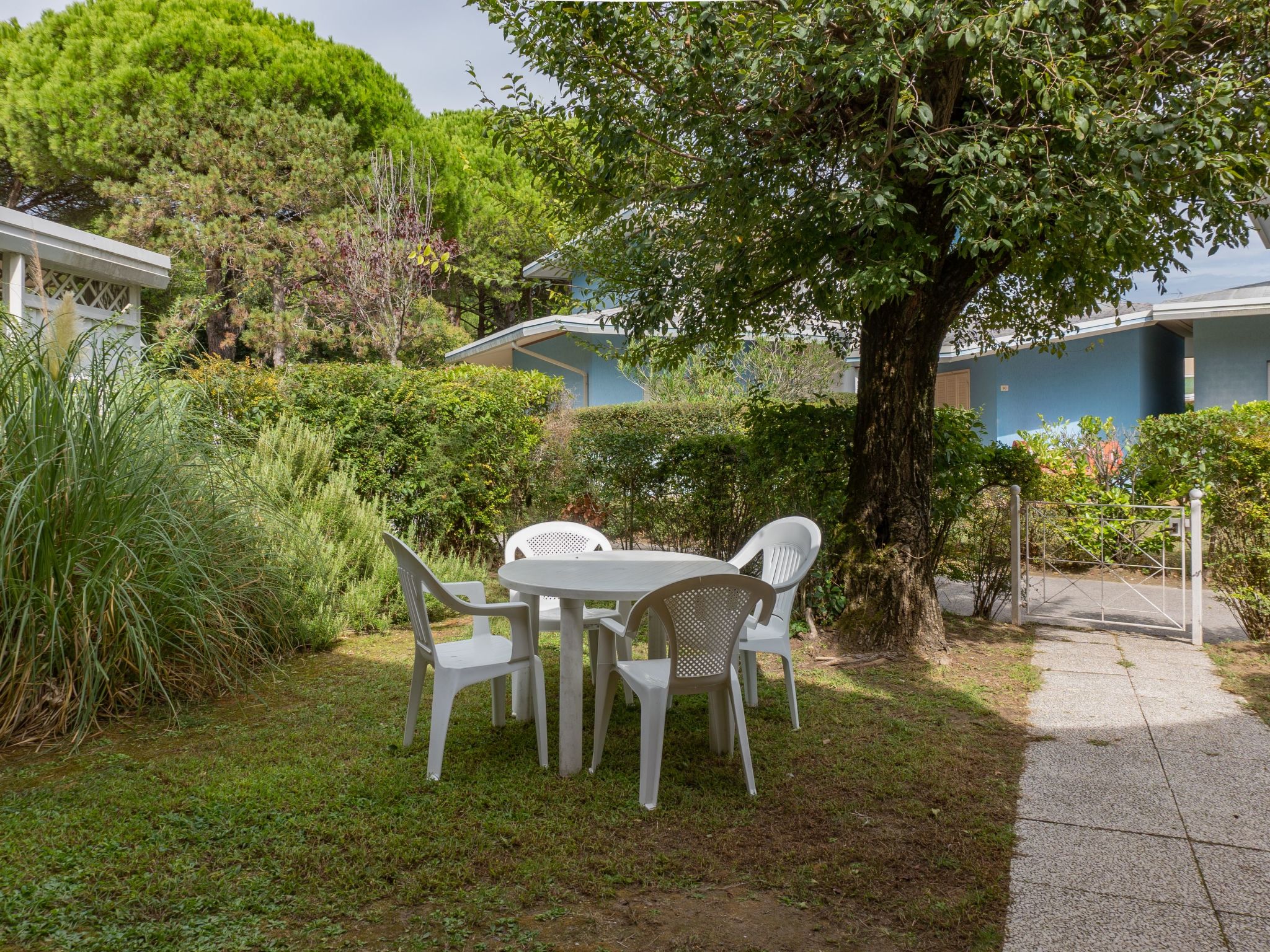 "Ollimpia 82"-Inside