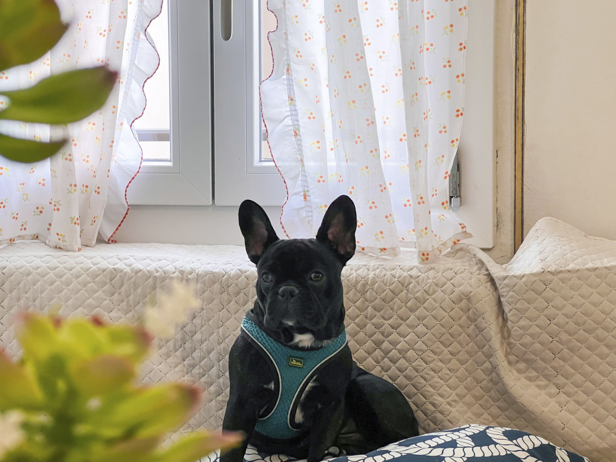 Photo of Wohnung 'Calligher A' mit Balkon