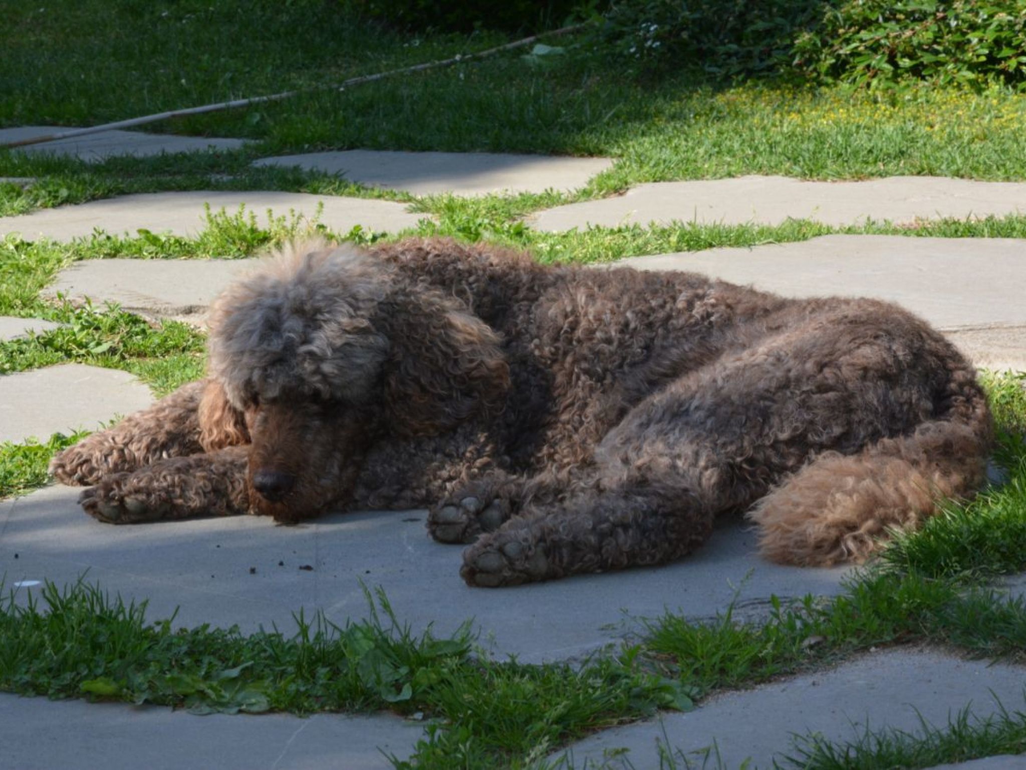 Apartment "Monika"-Image-tags.info