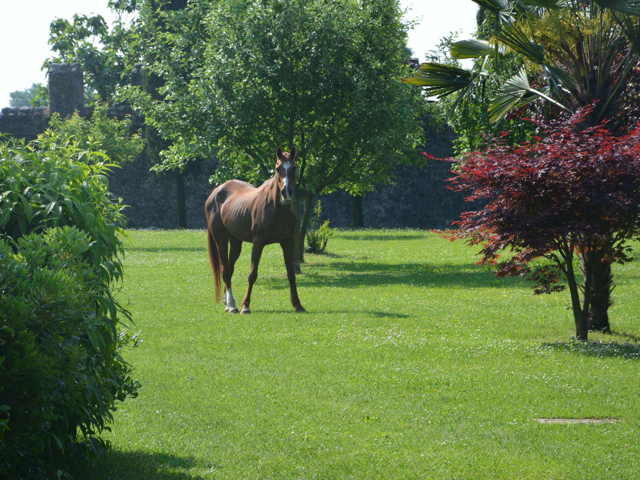 Apartment "Monika"-Image-tags.info