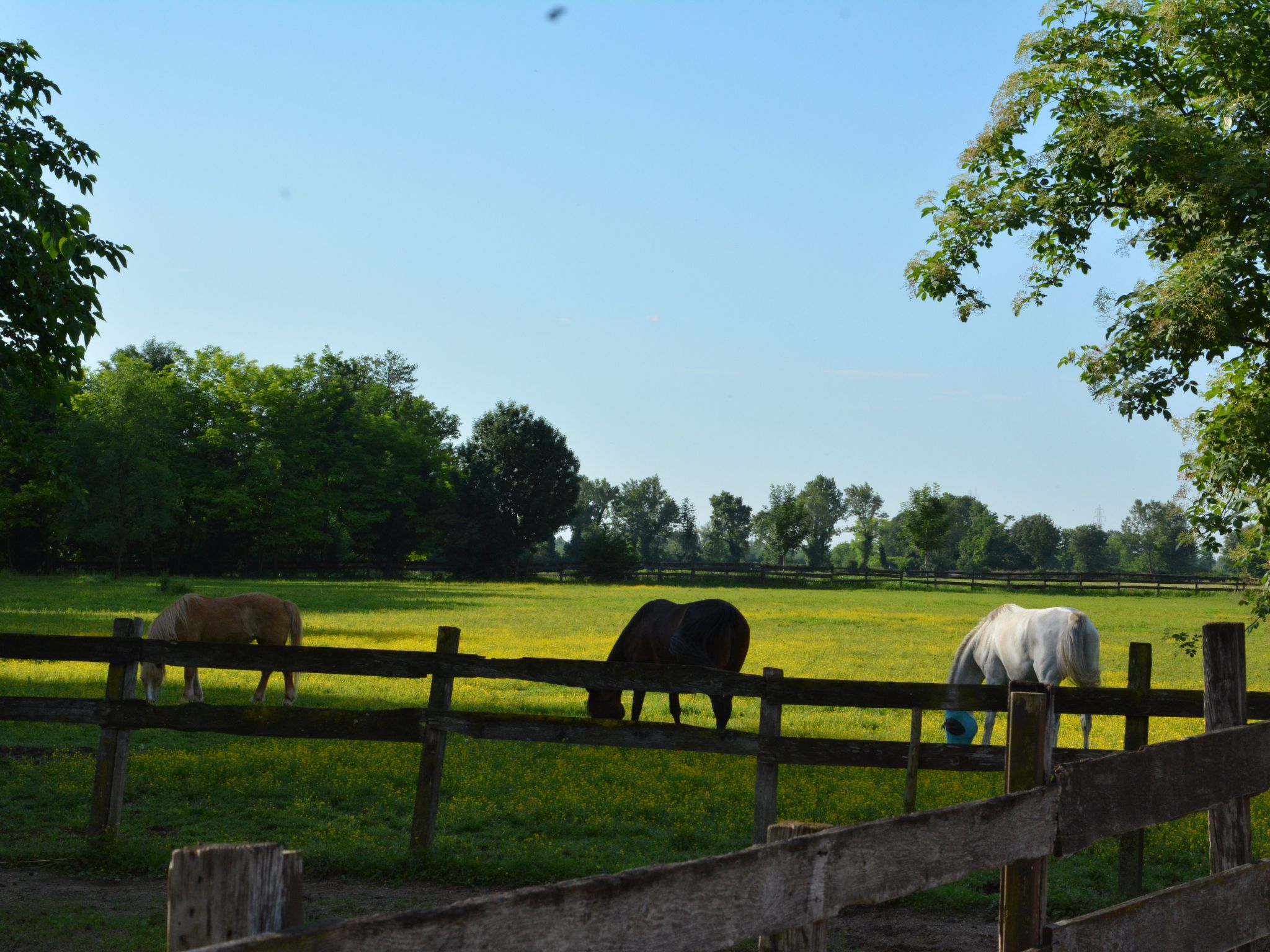 Apartment "Magalita"-Image-tags.info