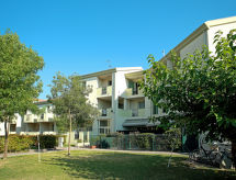 Robinia/Pinetine